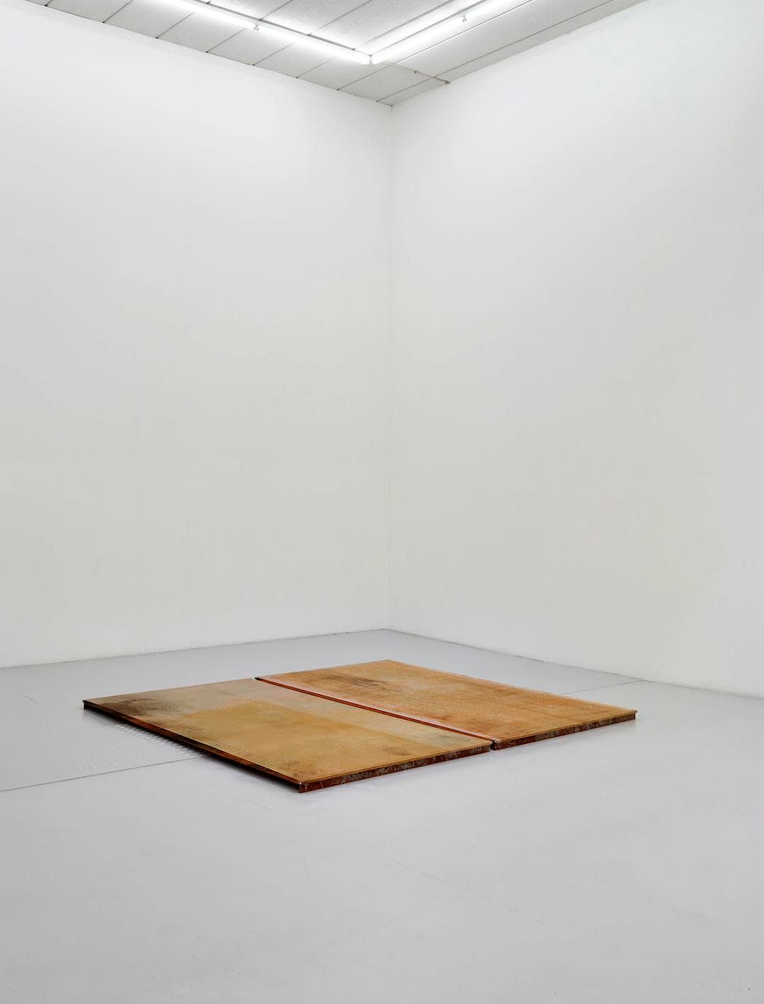 Tove Storch, Untitled 2; Untitled 3, 2014