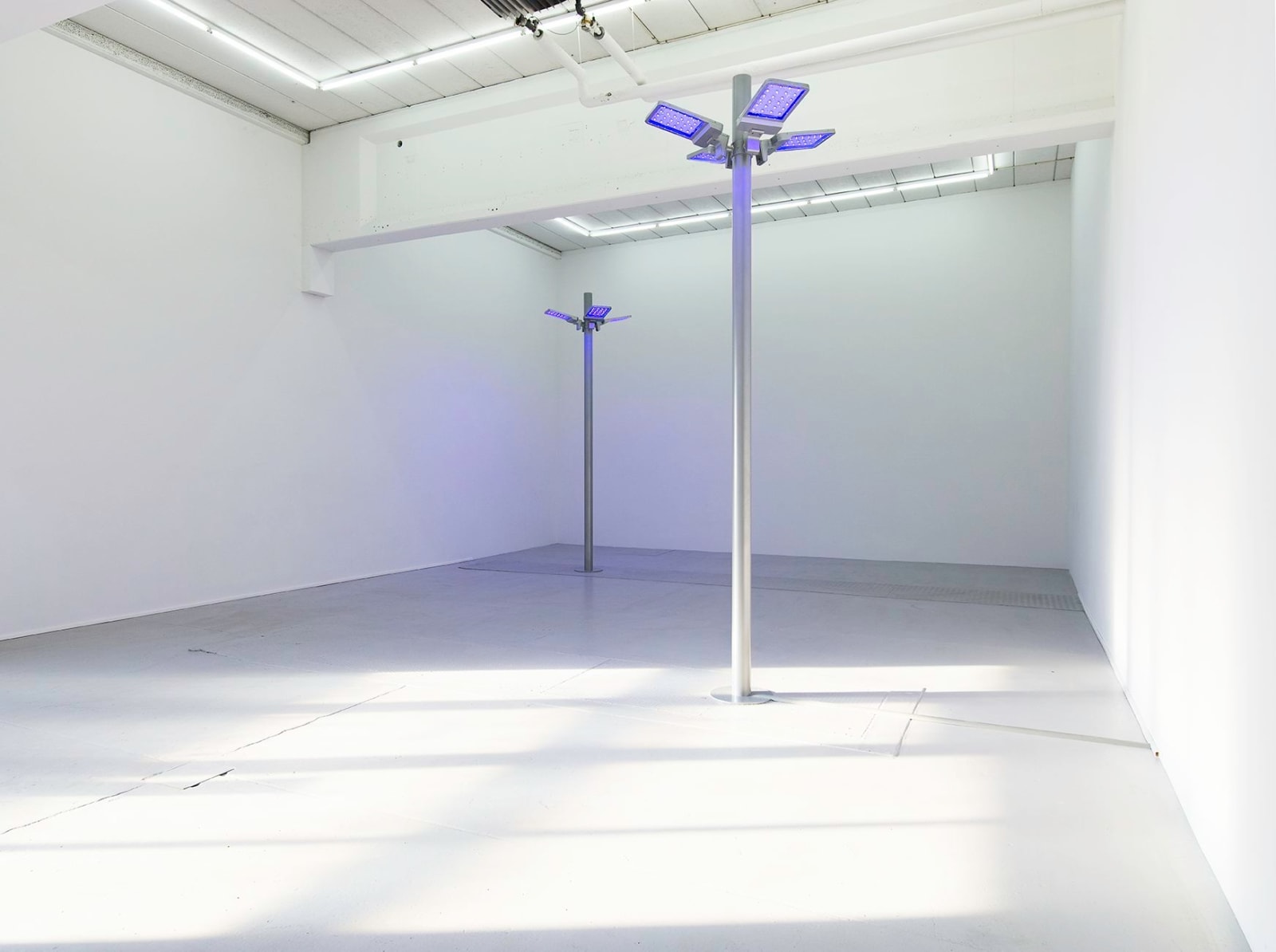 Gardar Eide Einarsson, Distinct Functional Layers Help Establish Hierarchy and Order, 2016