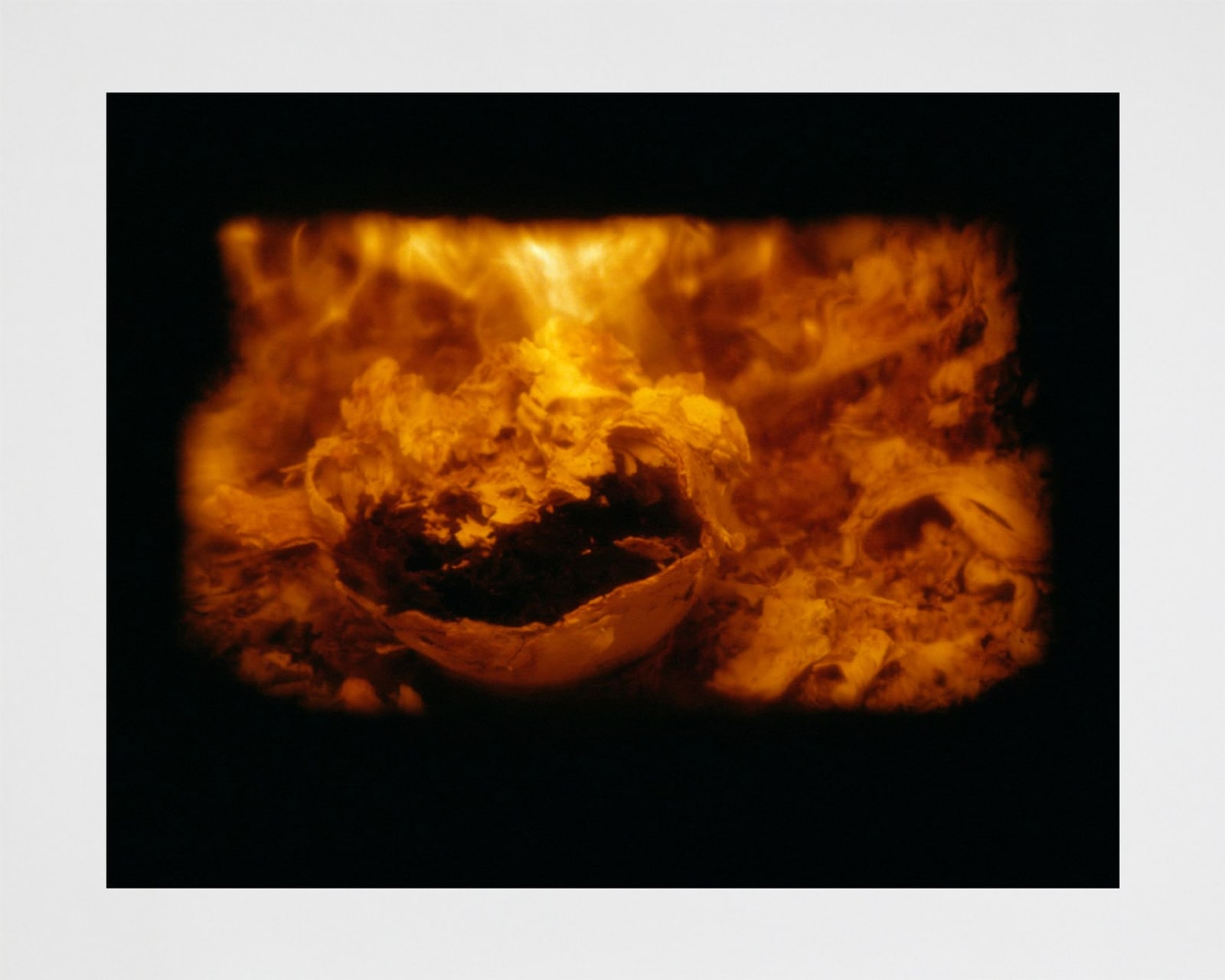 Torbjørn Rødland, Burning Skull no. 1, 2008-10