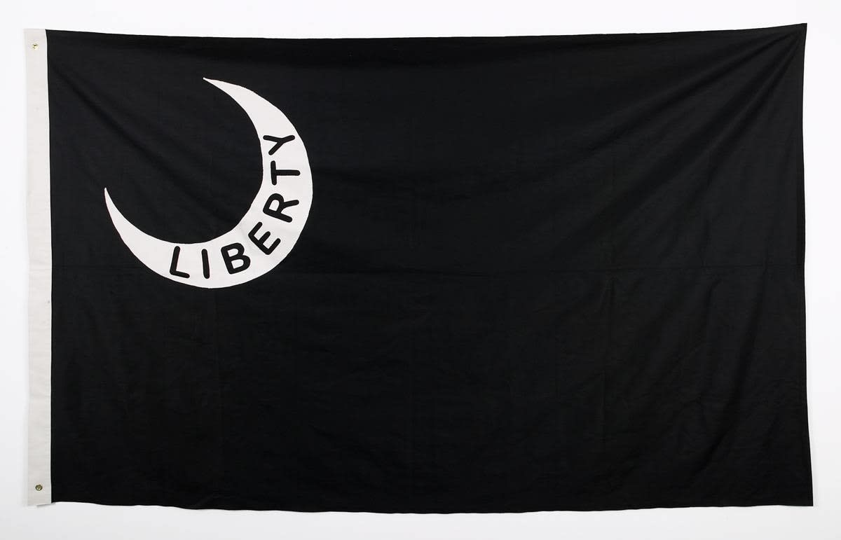 Gardar Eide Einarsson, “BLACK FLAG (LIBERTY)”, 2004