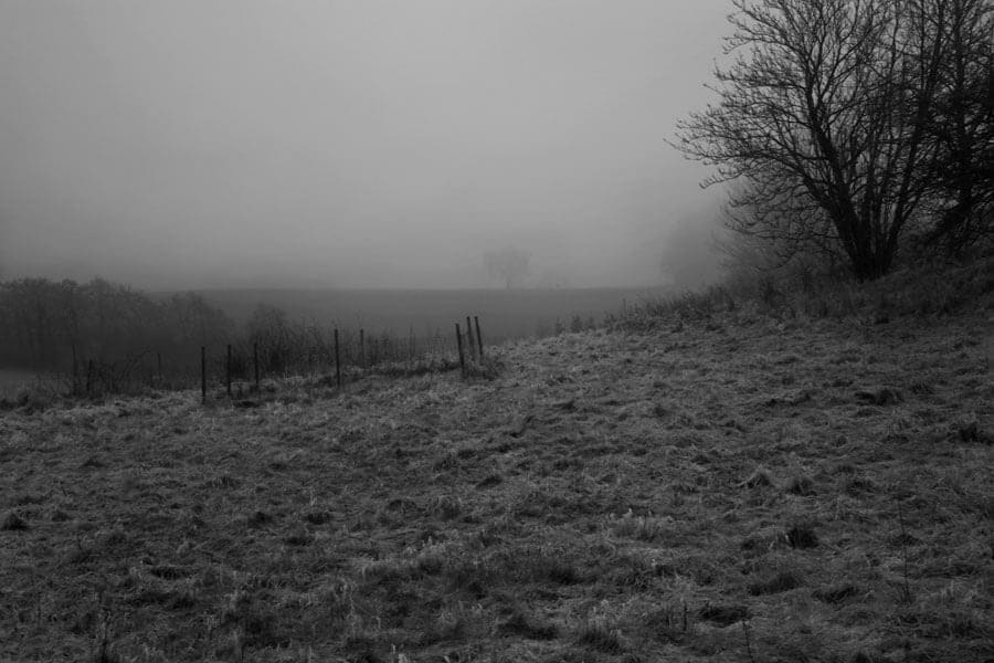 Mads Gamdrup, Danmark under forvandling, 2008-2009