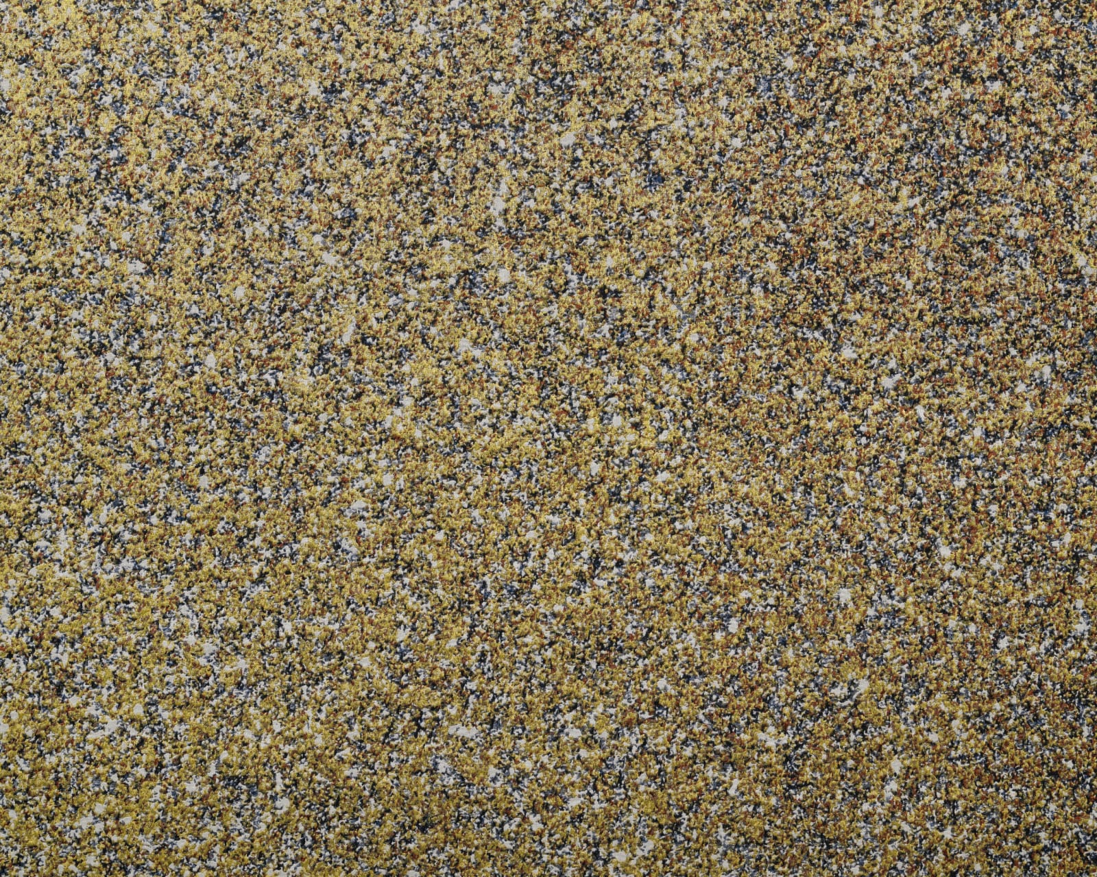 Miriam Bäckström, New Enter Image I, 2016