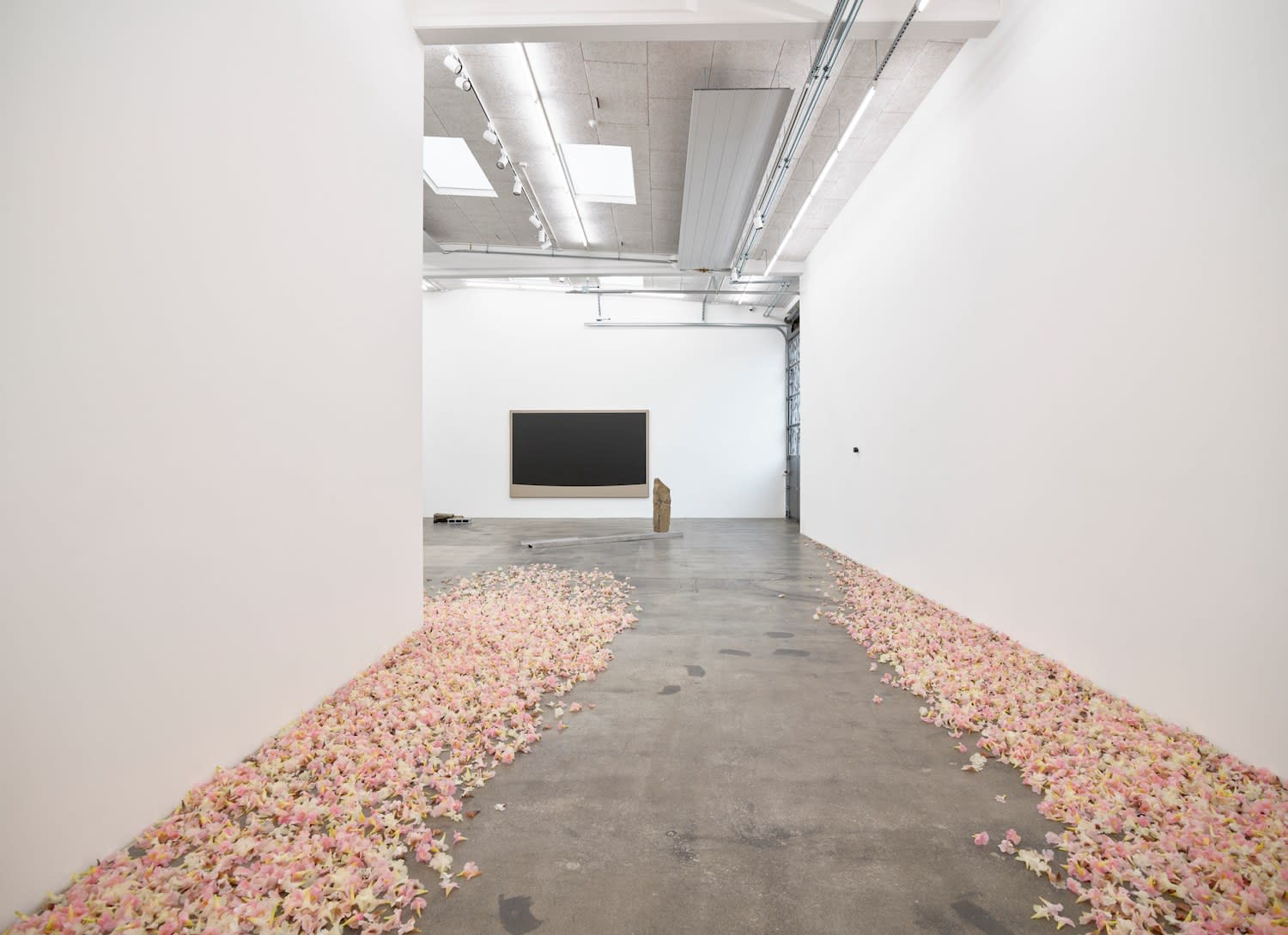 Allora & Calzadilla, Graft, 2021