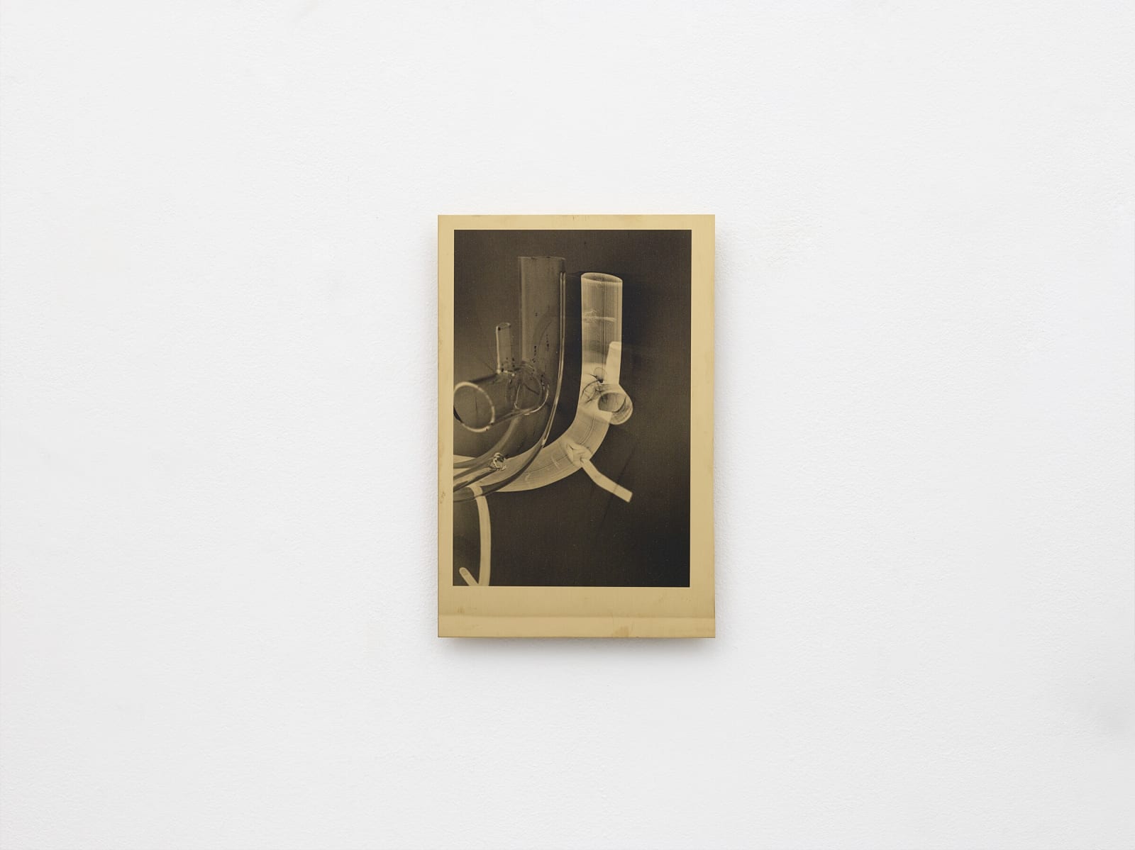 FOS, s@”m (double skin sodium), 2018