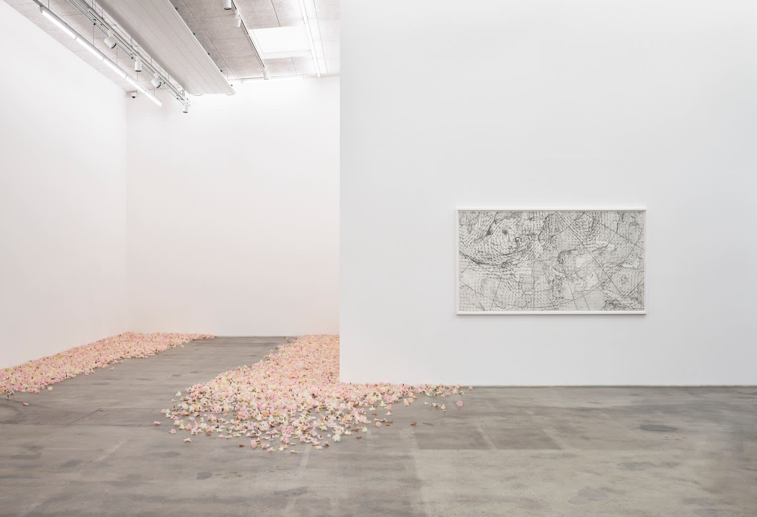 Andreas Albrectsen, Untitled (Elke), 2022