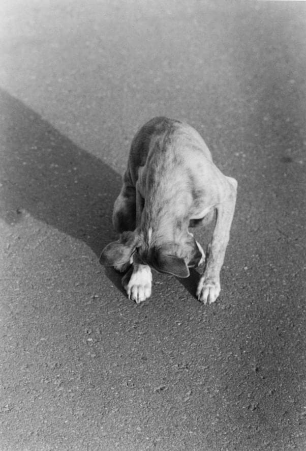 Tom Sandberg, Untitled, 2010