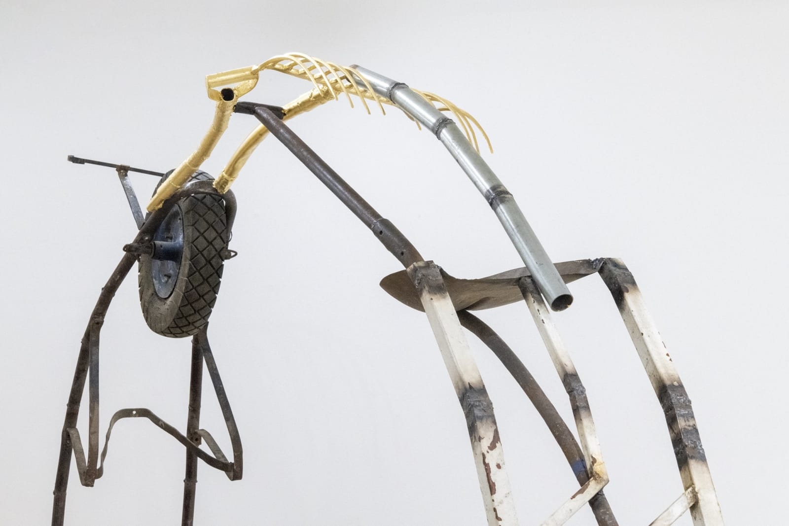 Darío Escobar, Cìrculo N° 01, 2024