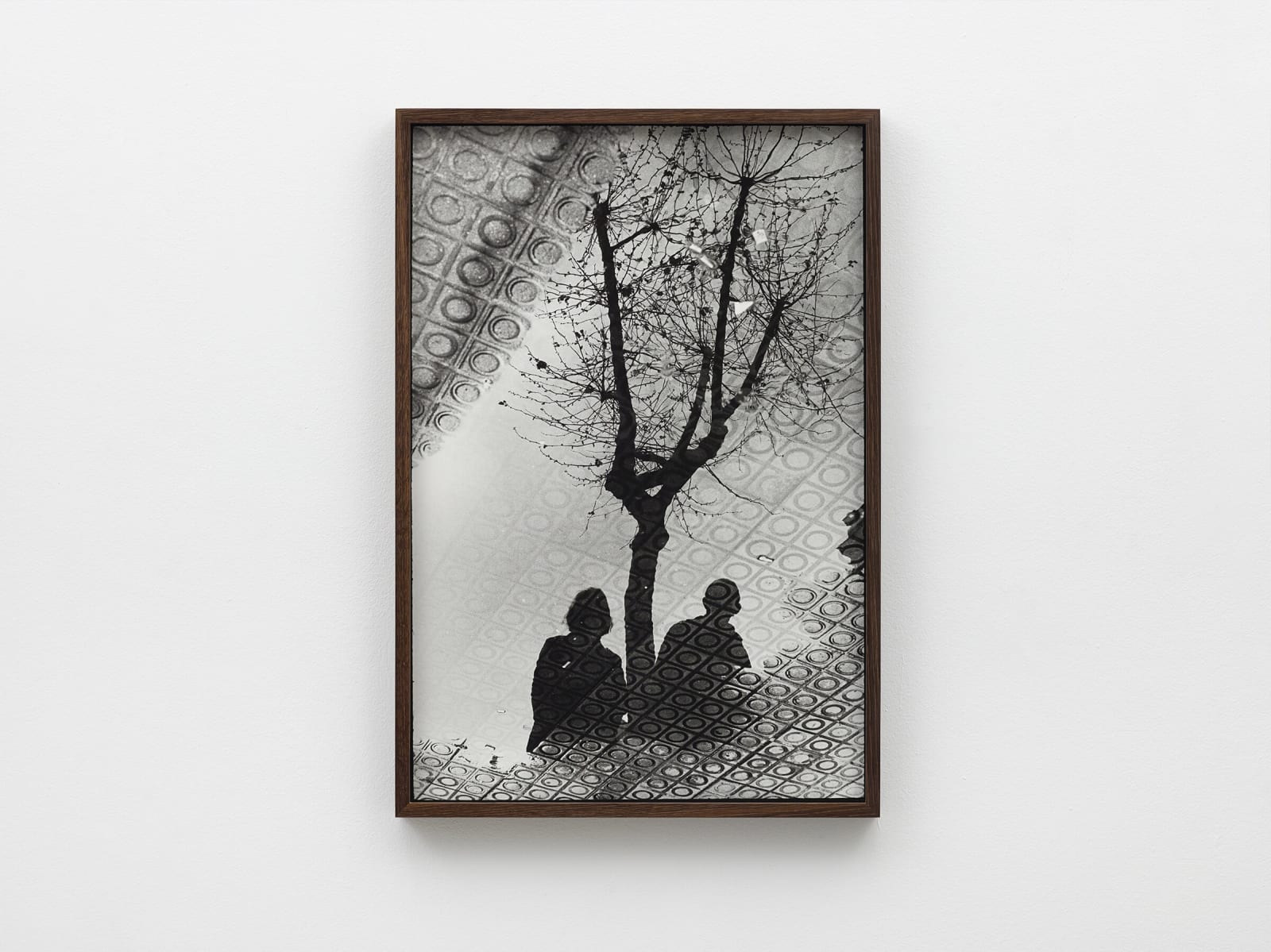 Ed Templeton, Barcelona puddle reflection tree, 2012, 2019