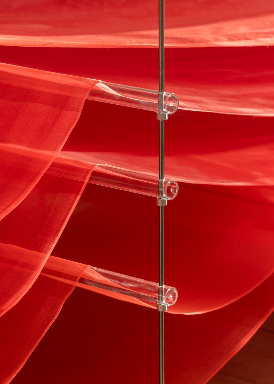 Tove Storch, Untitled, 2024