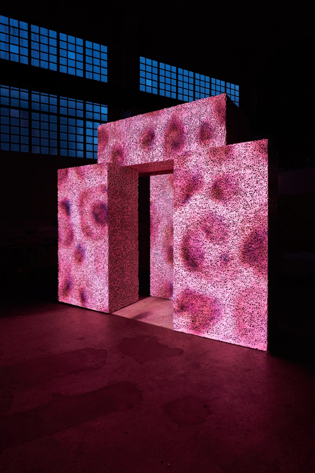 SUPERFLEX, Dive-in, 2019