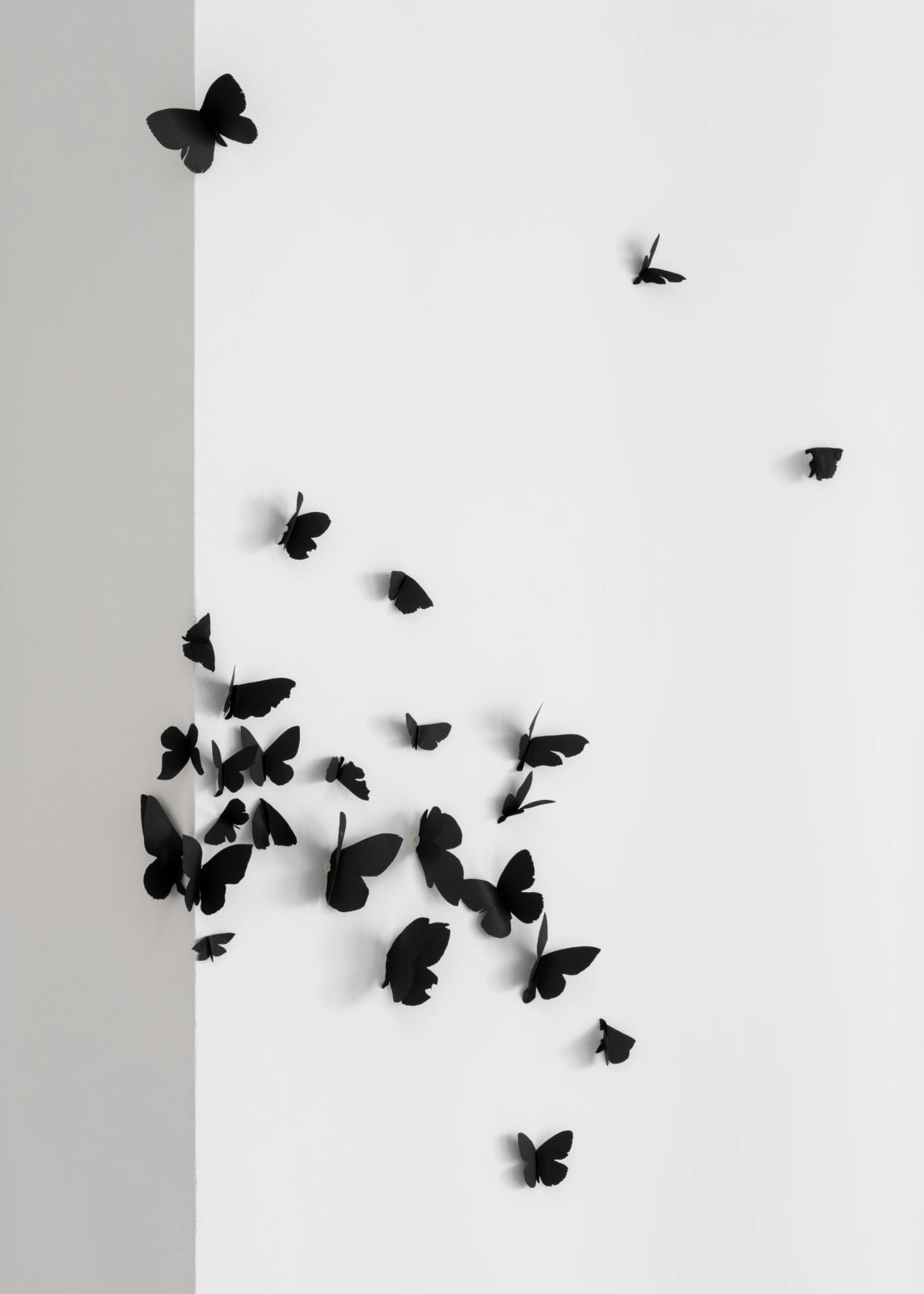 Carlos Amorales, Black Cloud Fashion, 2022
