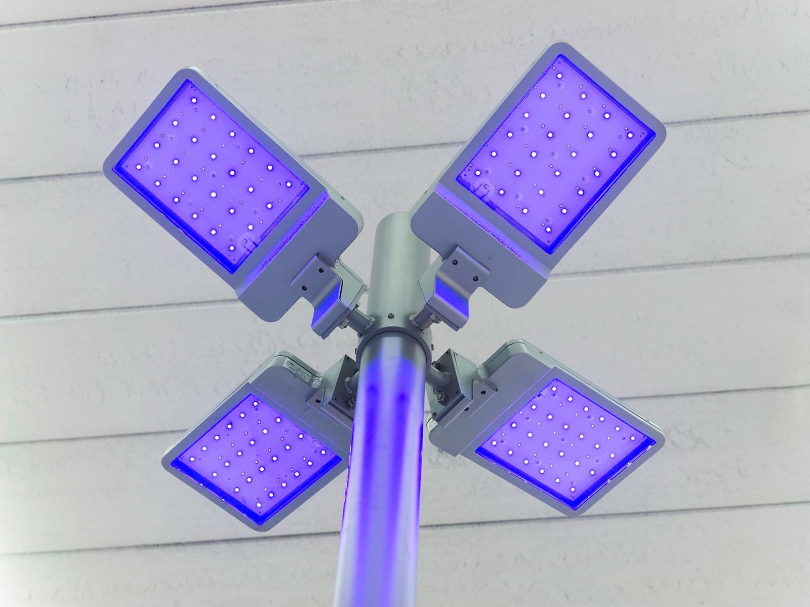 Gardar Eide Einarsson, Distinct Functional Layers Help Establish Hierarchy and Order, 2016