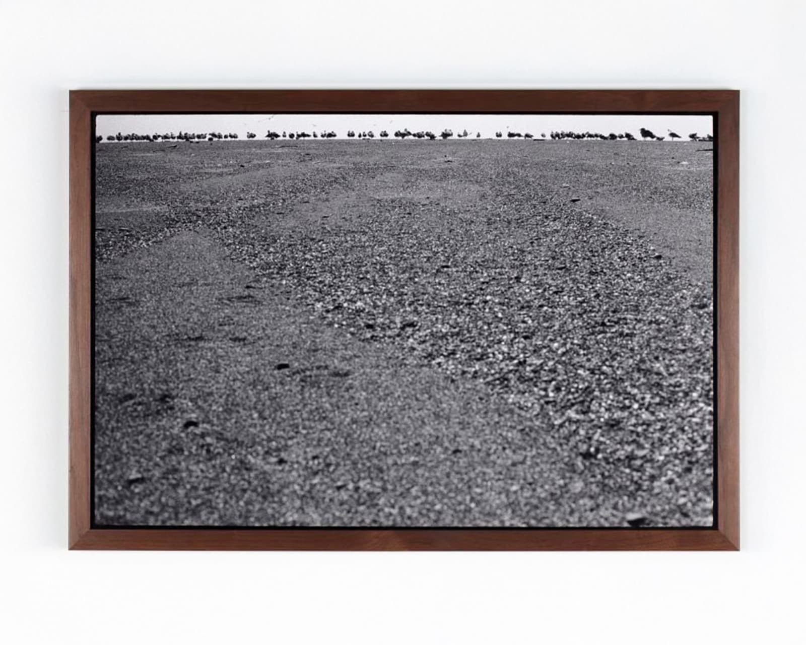 Ed Templeton, Klamath River Mouth, 2011