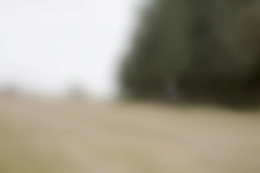 Mads Gamdrup, Danmark under forvandling, 2008-2009