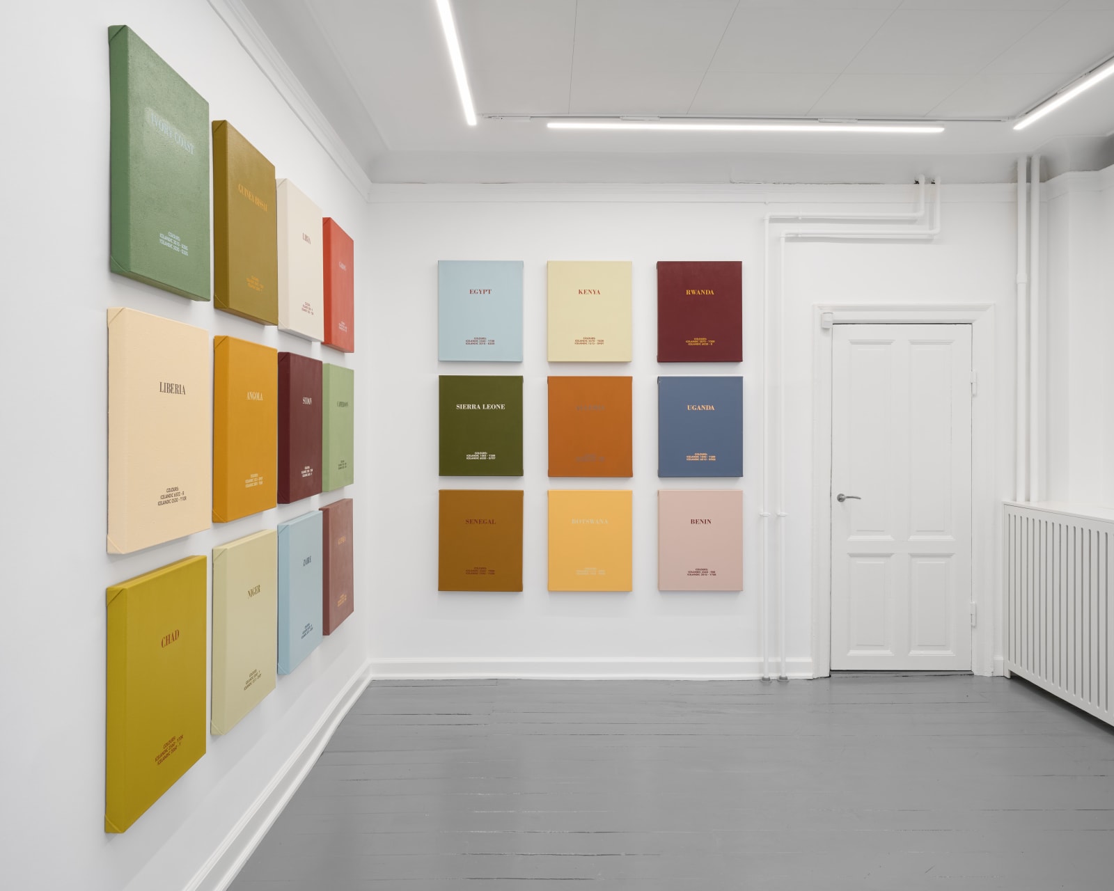 Birgir Andrésson, Africa, 2007