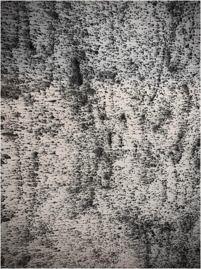 Will Hadwen, Negativeland: The North Borders IX, 2025