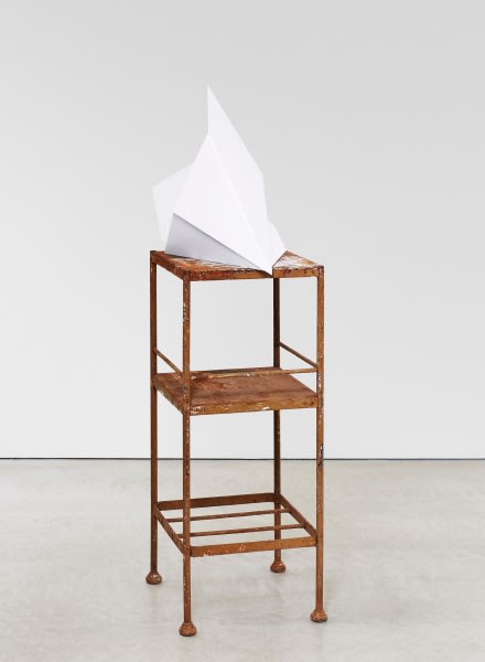 Katja Strunz, Unfolding Process, 2017