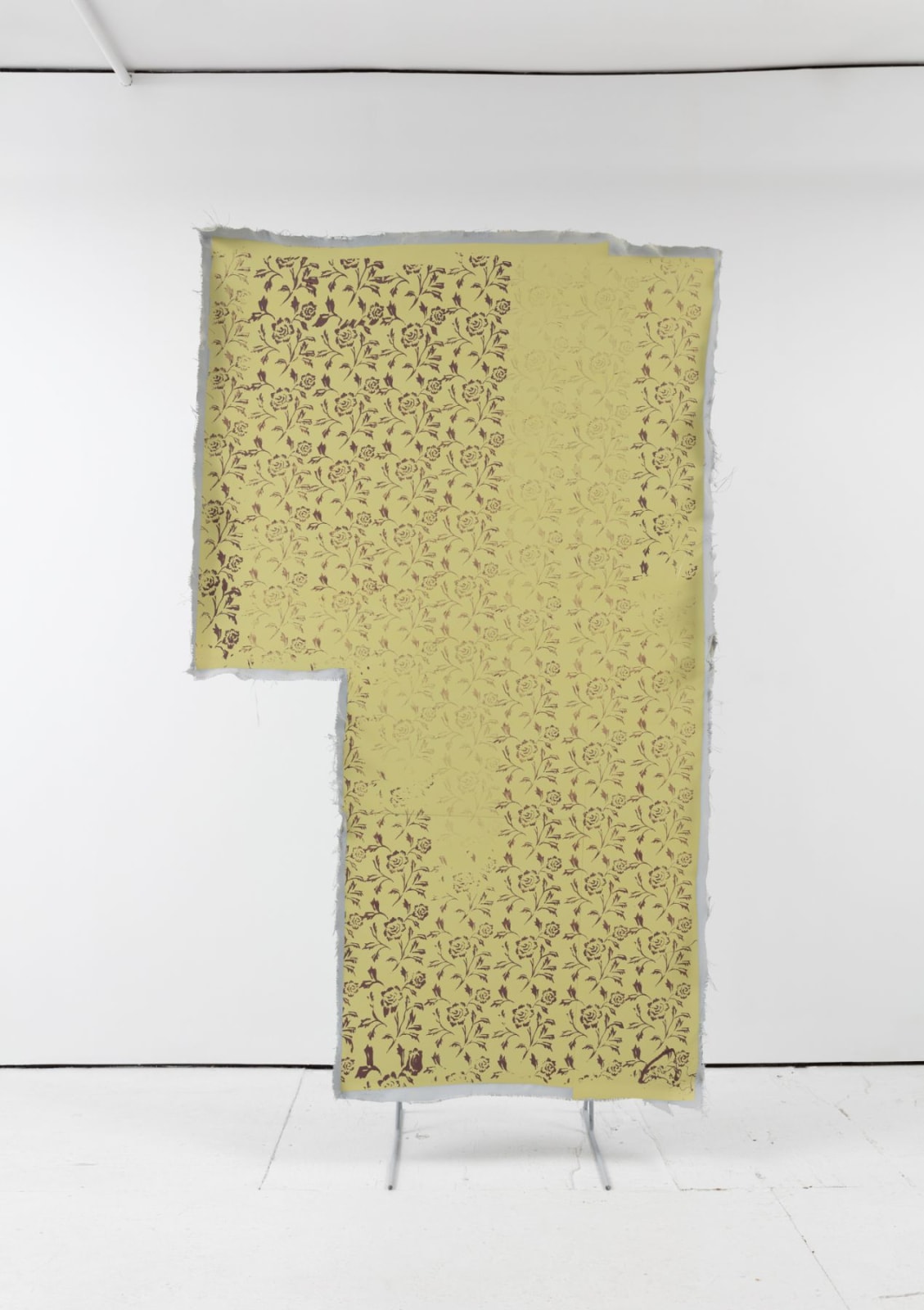 Dorian Gaudin, Forget me not carnation, 2018