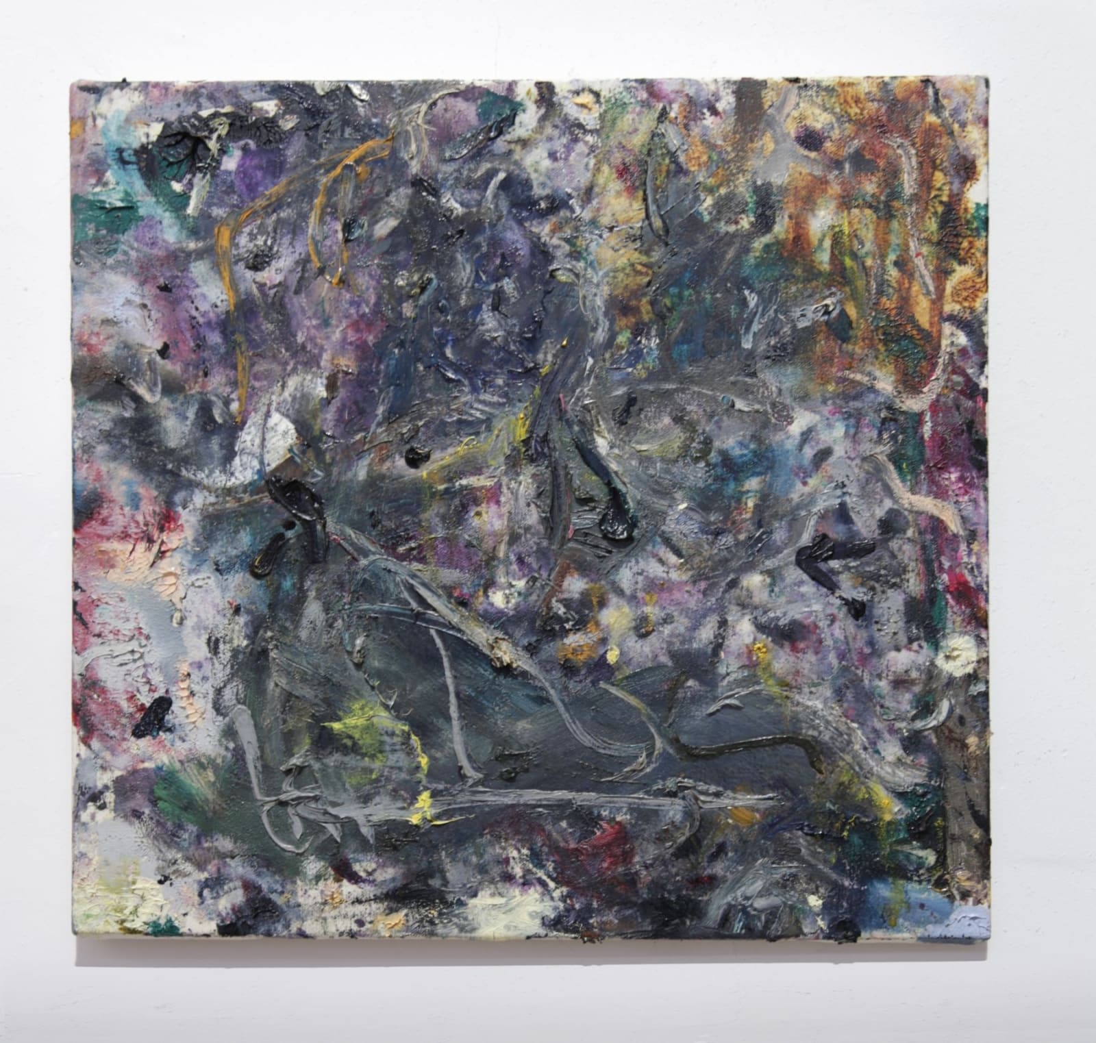 Nicholas Frank, Activity XVII A, 2013