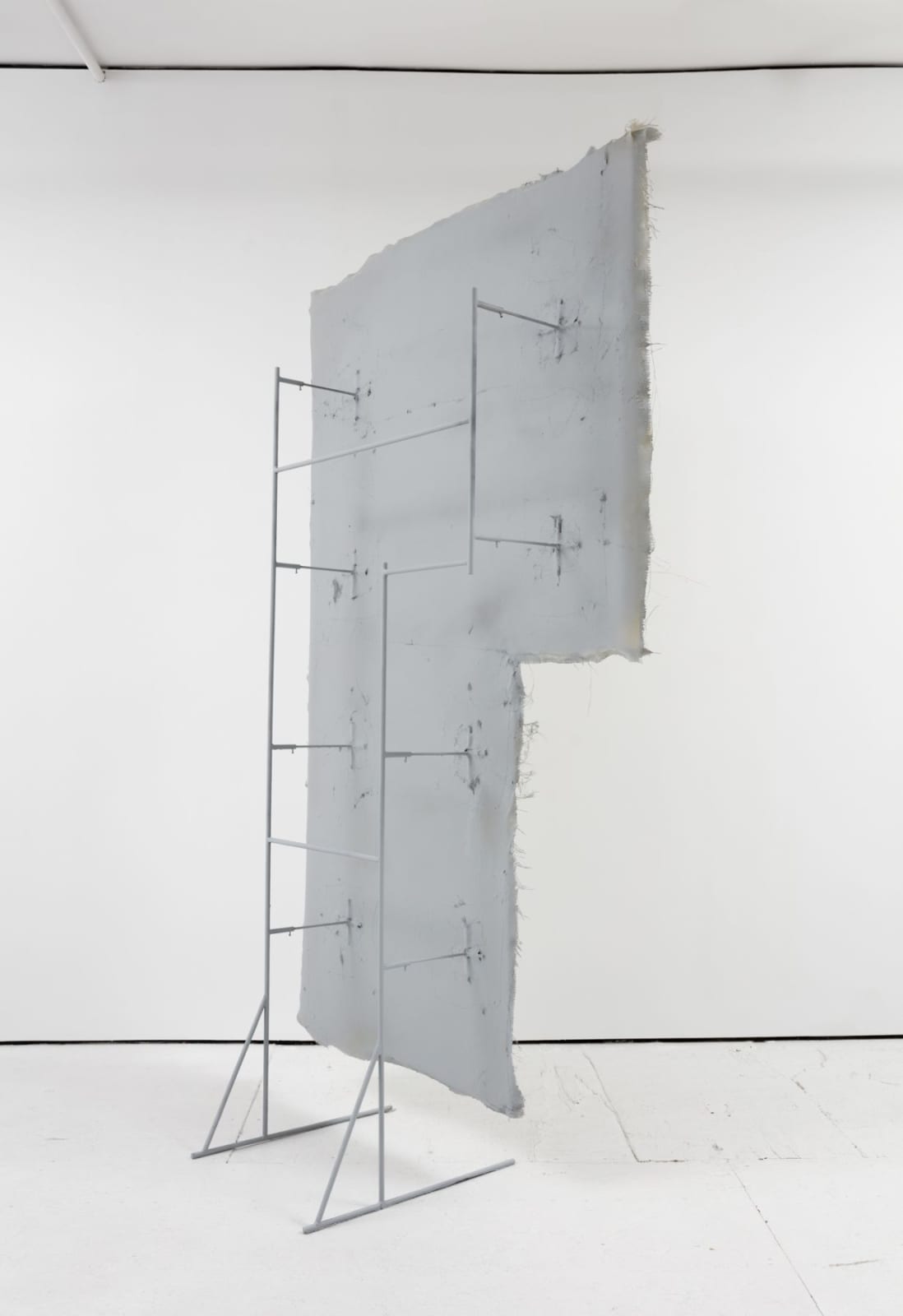 Dorian Gaudin, Forget me not carnation, 2018