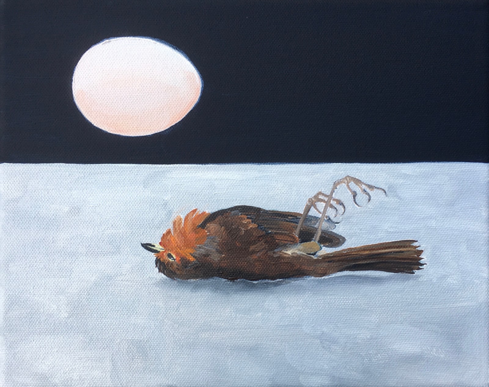 Flan Flanagan, December Fall, 2020