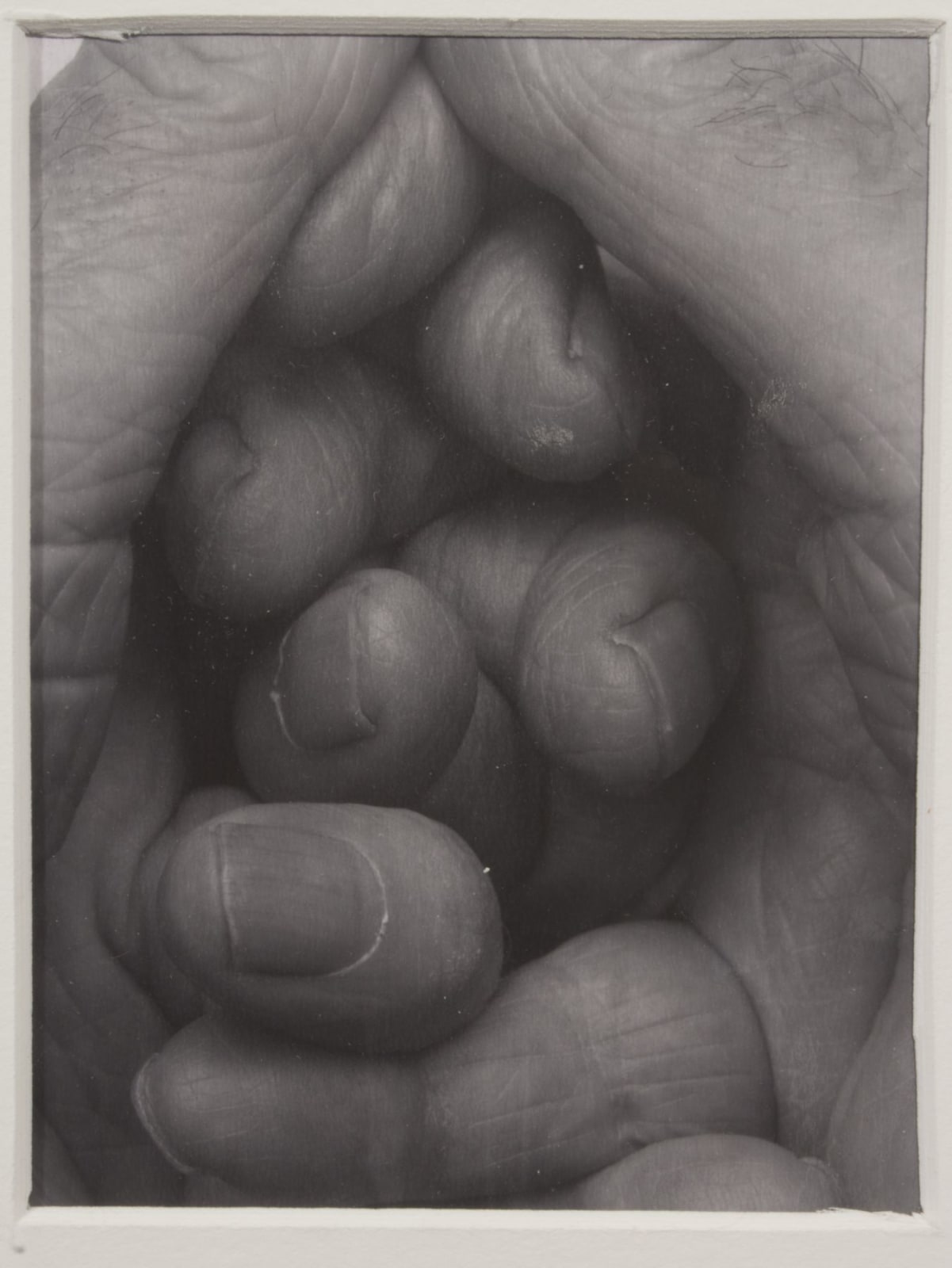 John Coplans, Interlocking Fingers, Variant, 5, 1999