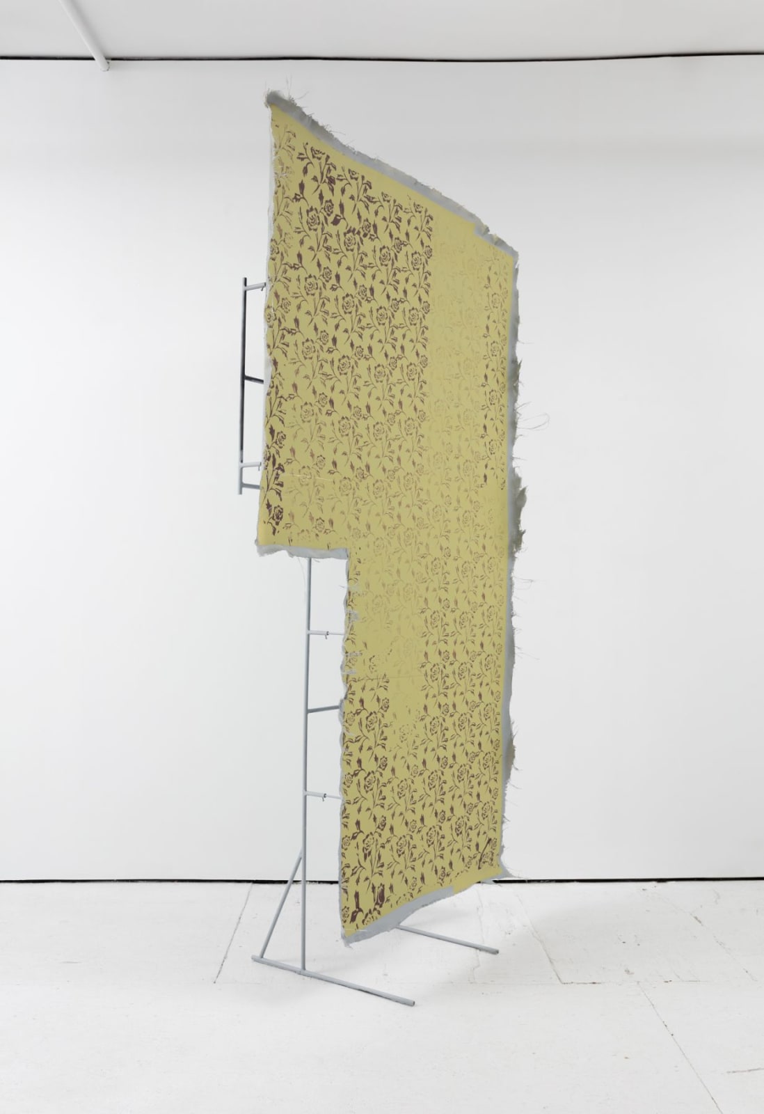 Dorian Gaudin, Forget me not carnation, 2018