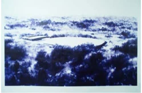 Gamaliel Rodriguez, Figure 1764, 2015