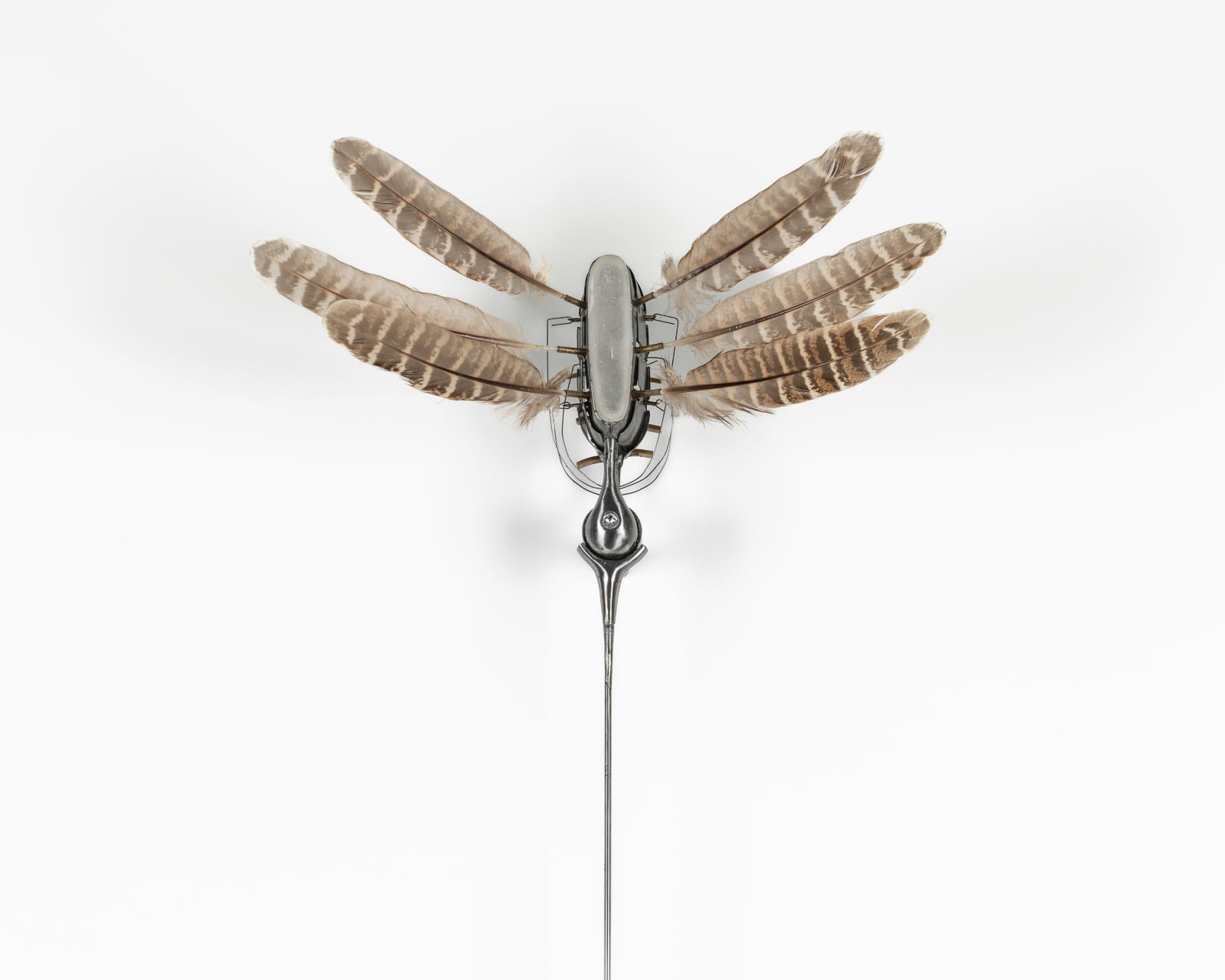 Anthony Leenders, Pendule no. 1, 2025