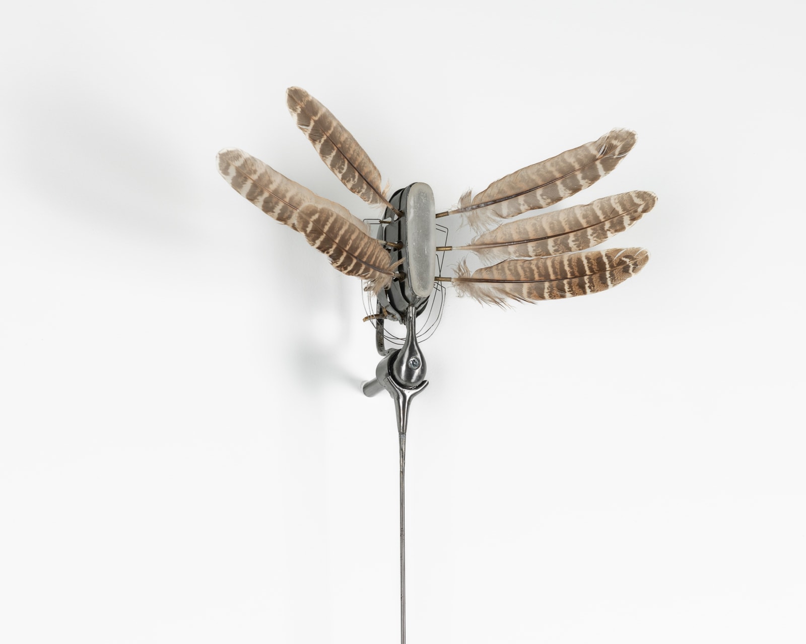 Anthony Leenders, Pendule no. 1, 2025