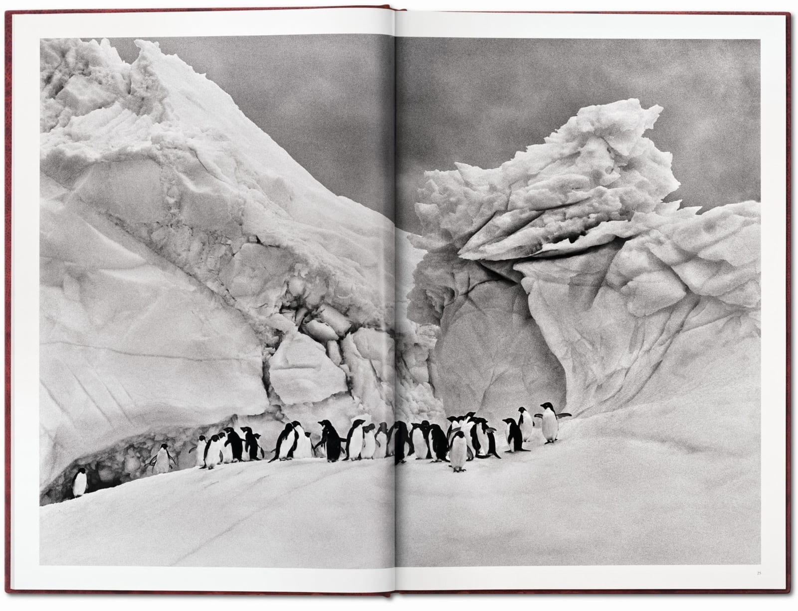 Sebastião Salgado, Sebastião Salgado. Genesis. Art Edition No. 401–500 ‘The Arctic National Wildlife Refuge, Alaska, USA’, 2013