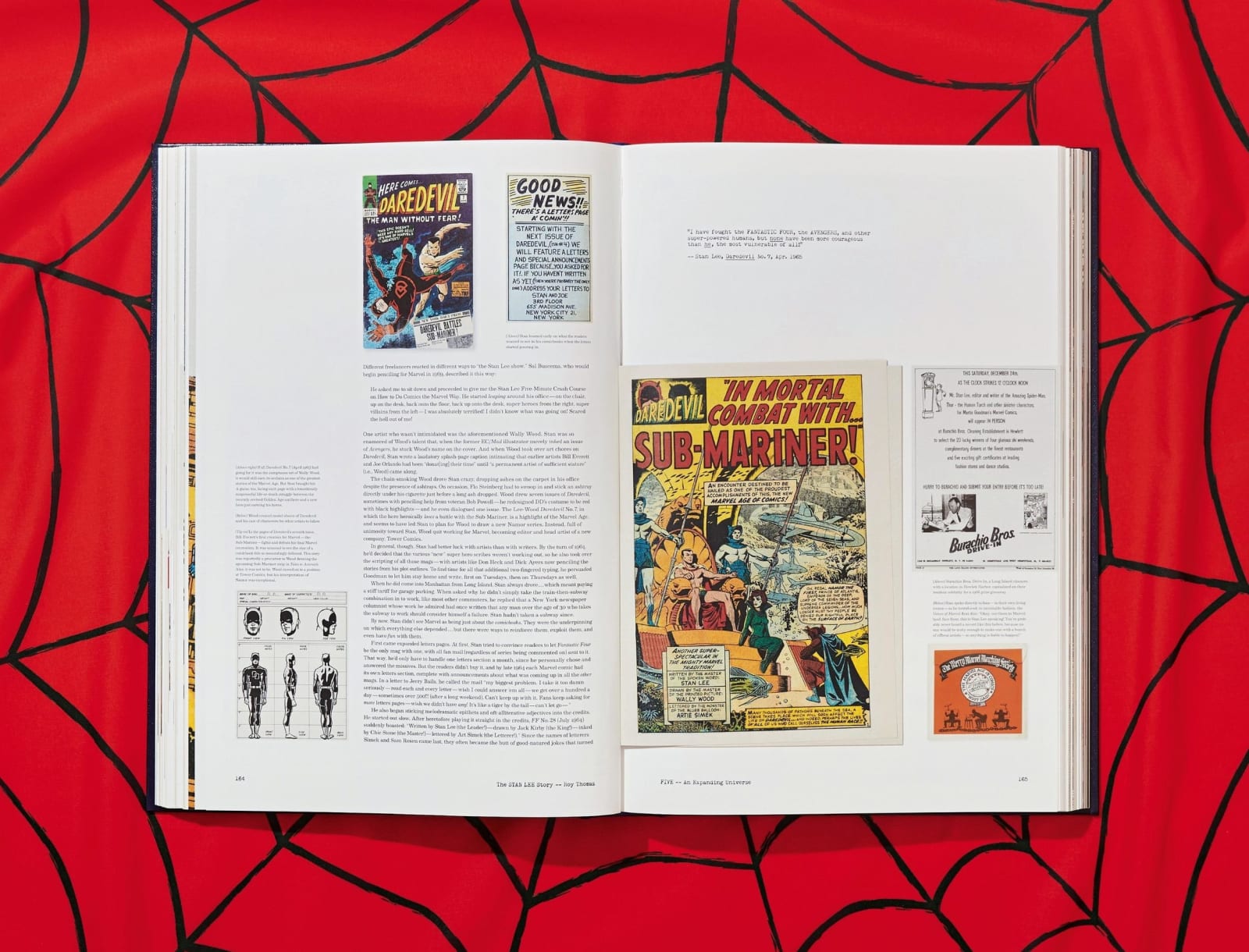 Marvel, The Stan Lee Story, 2018