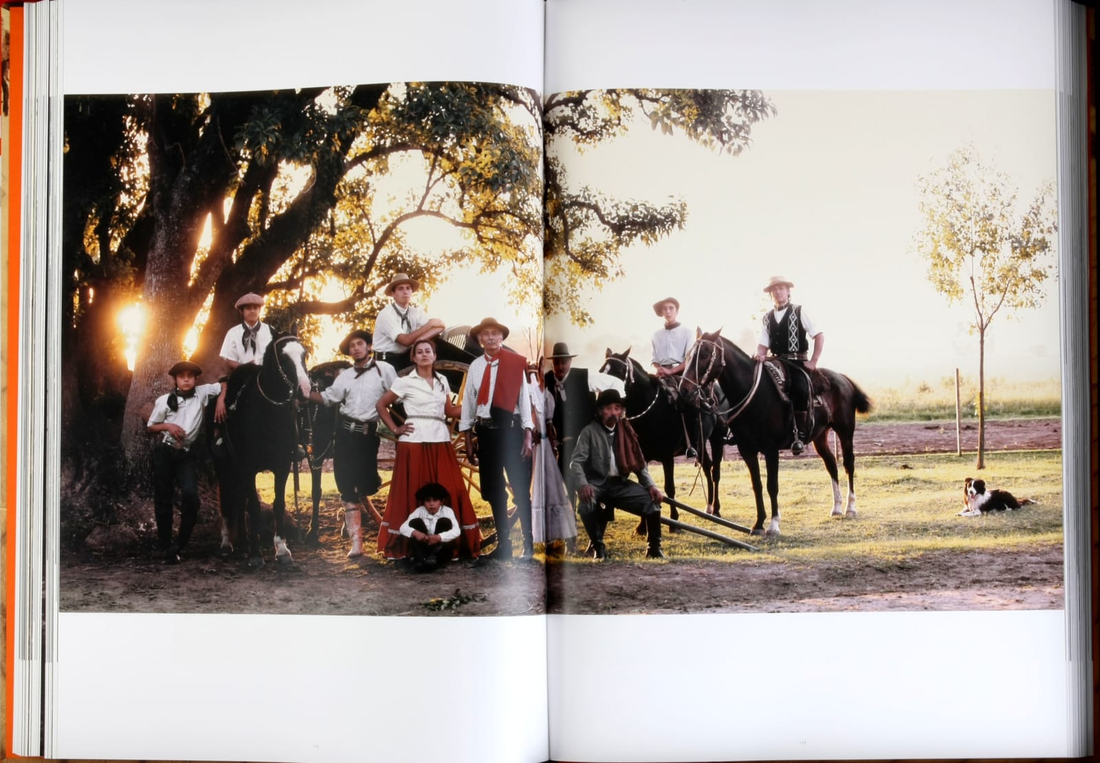 Jimmy Nelson, Before They Pass Away, 2013