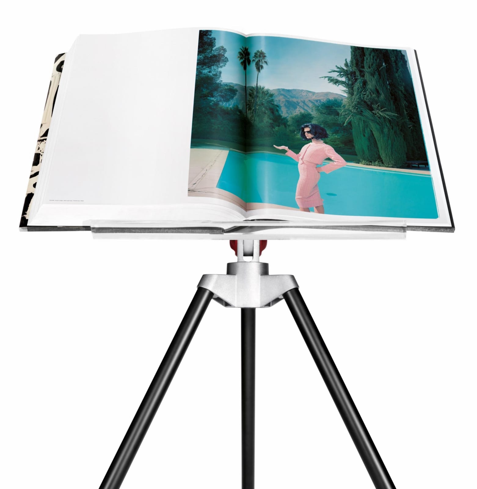 Annie Leibovitz, SUMO, 2014