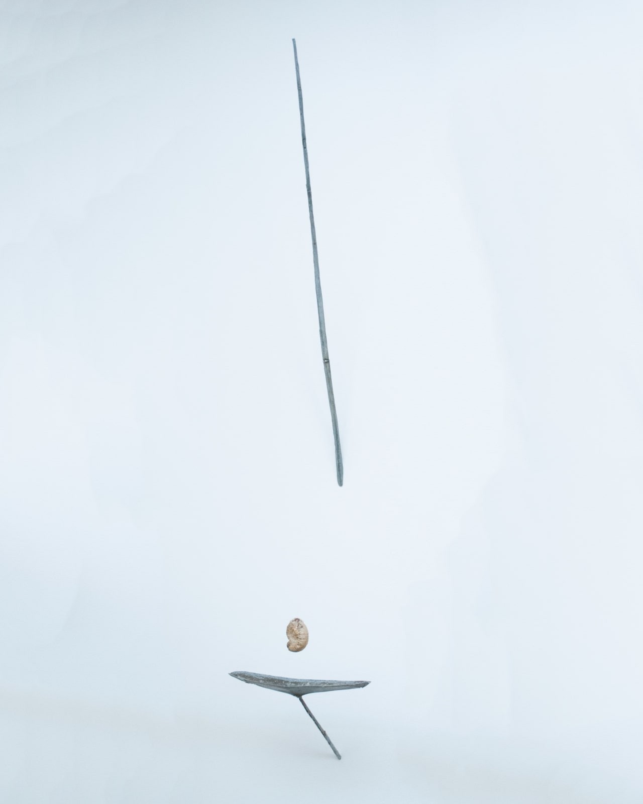 Anthony Leenders, fossil fishing, 2025