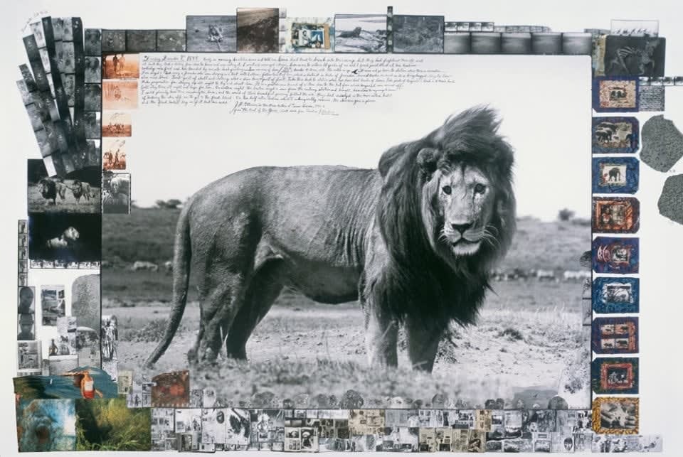 Peter Beard, Collector's Edition, 2006