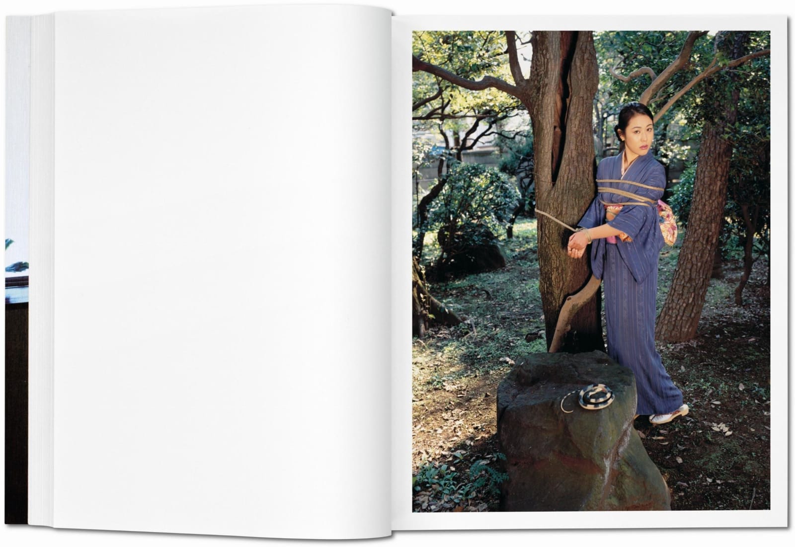 Nobuyoshi Araki, Bondage, 2012