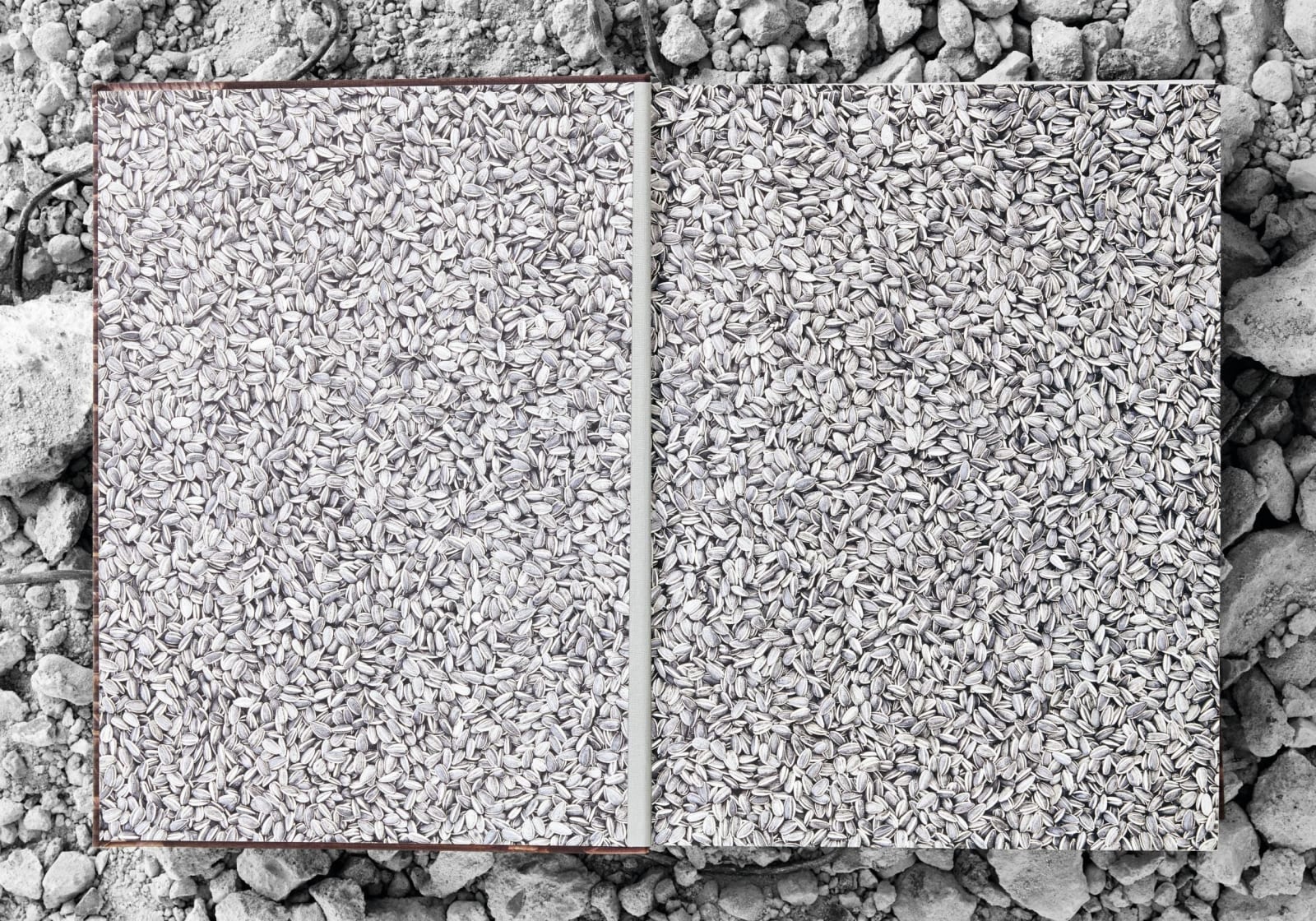 Ai Weiwei, Collector's Edition, 2014