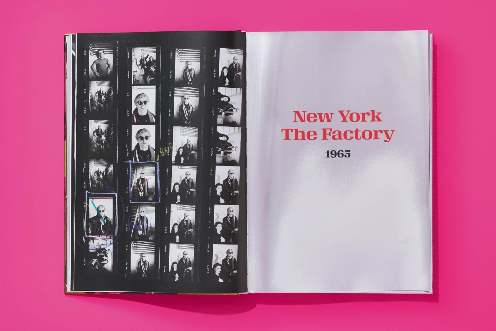 Steve Schapiro, Andy Warhol and Friends, 2022