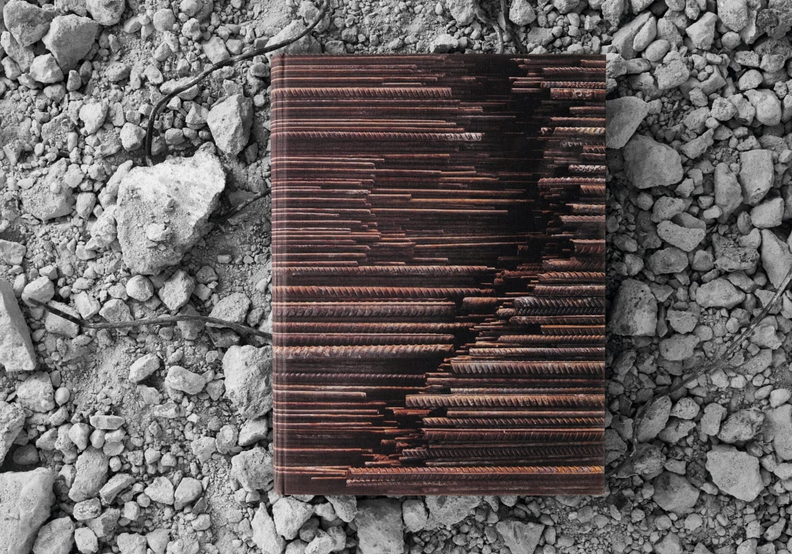 Ai Weiwei, Collector's Edition, 2014