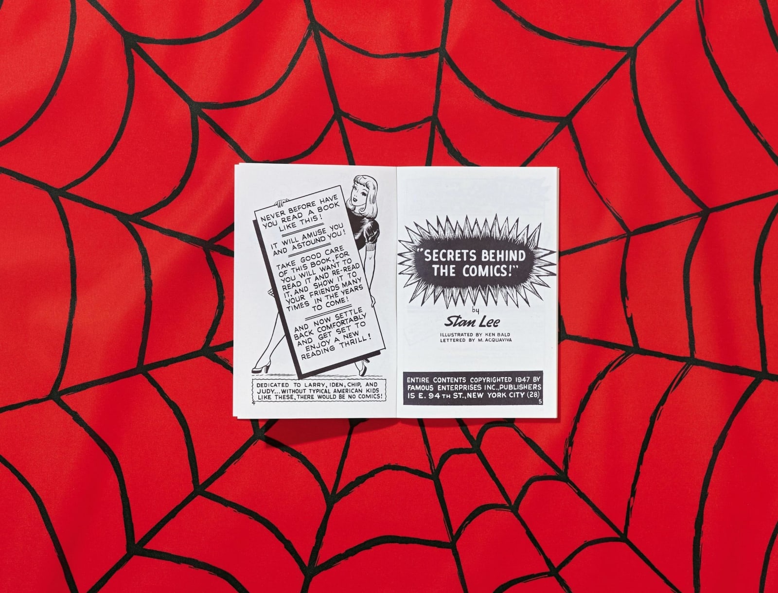 Marvel, The Stan Lee Story, 2018