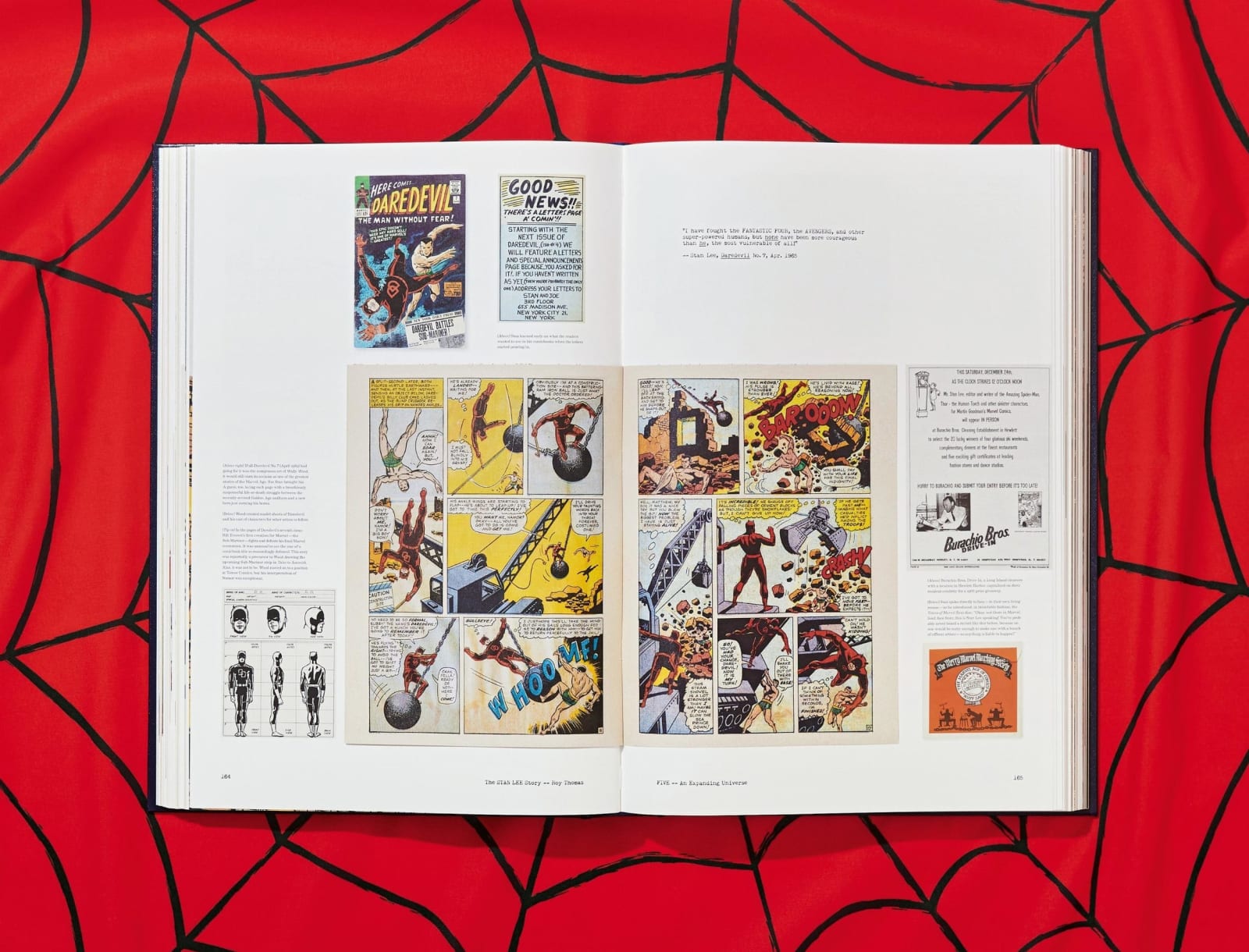 Marvel, The Stan Lee Story, 2018