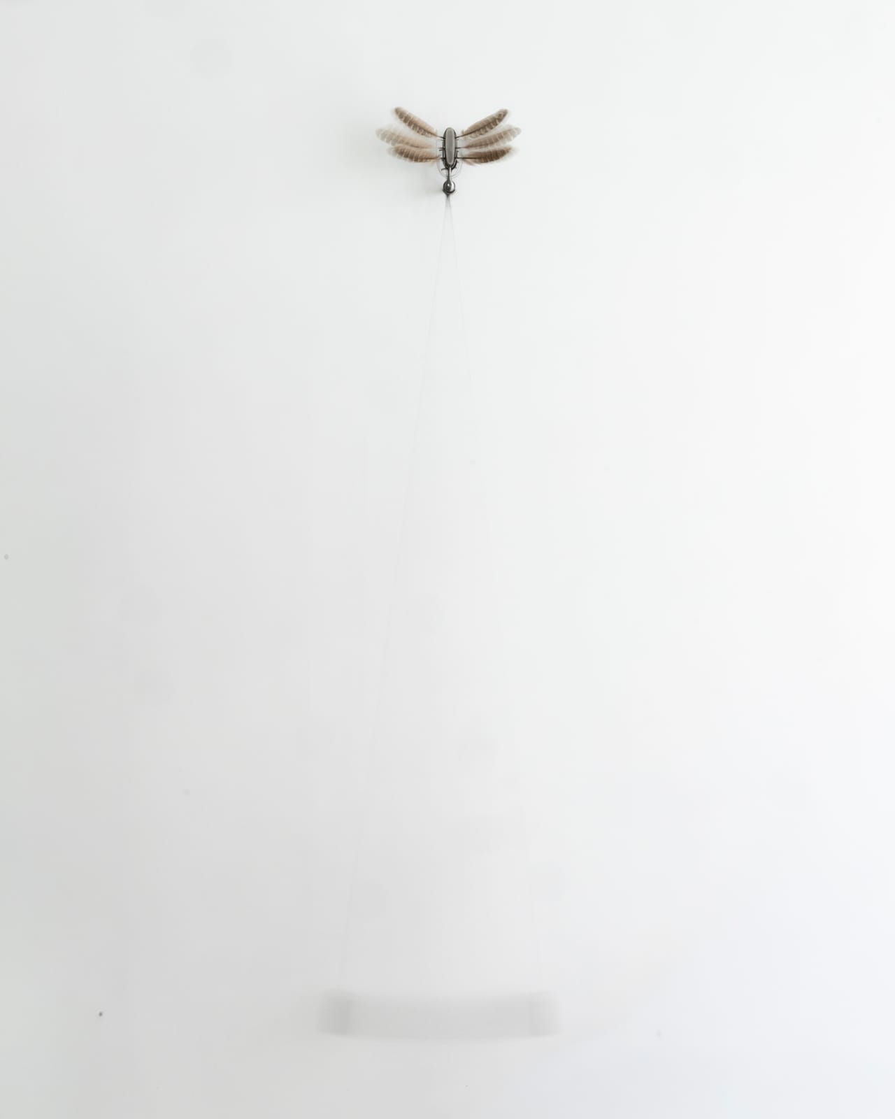 Anthony Leenders, Pendule no. 1, 2025