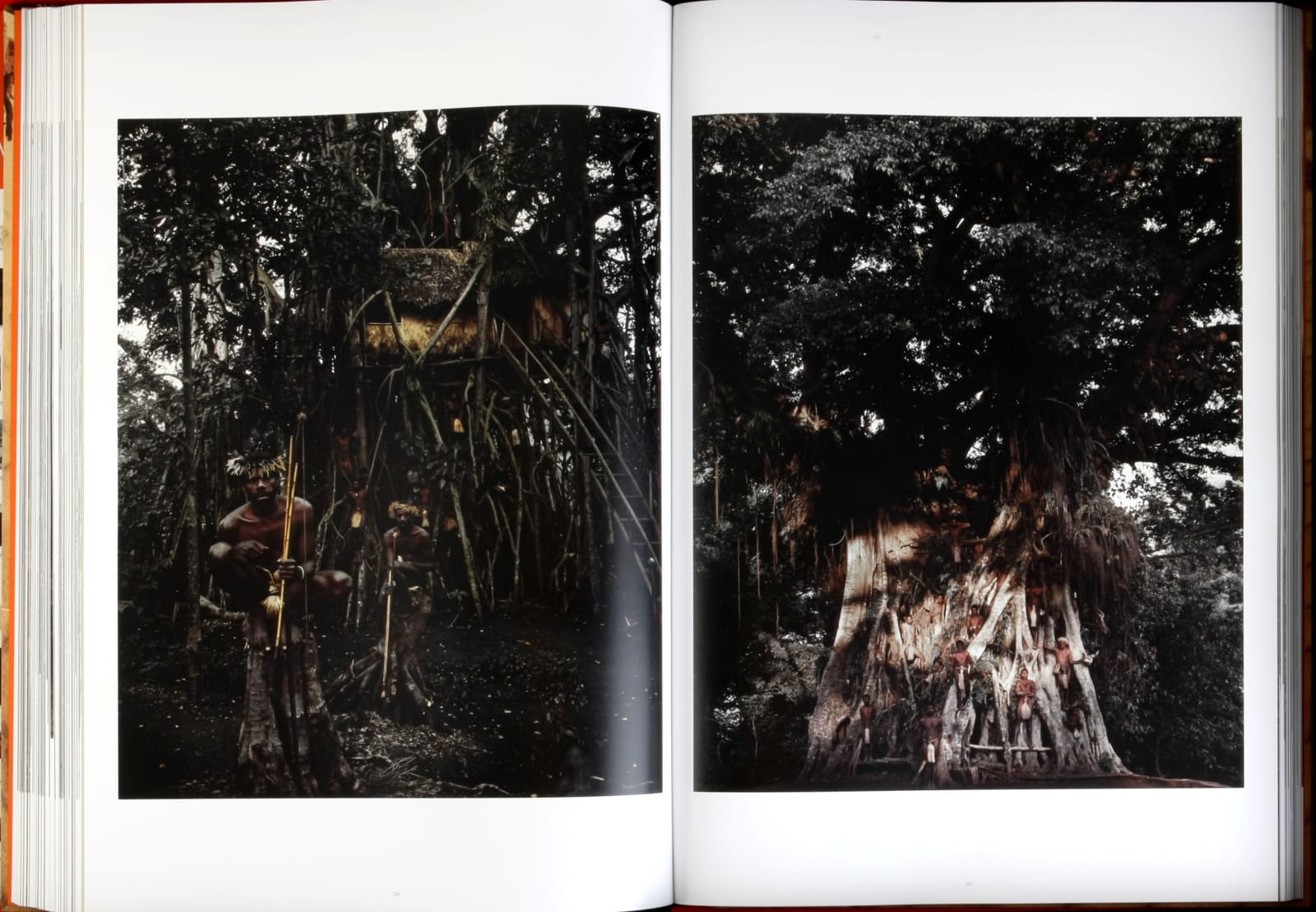 Jimmy Nelson, Before They Pass Away, 2013