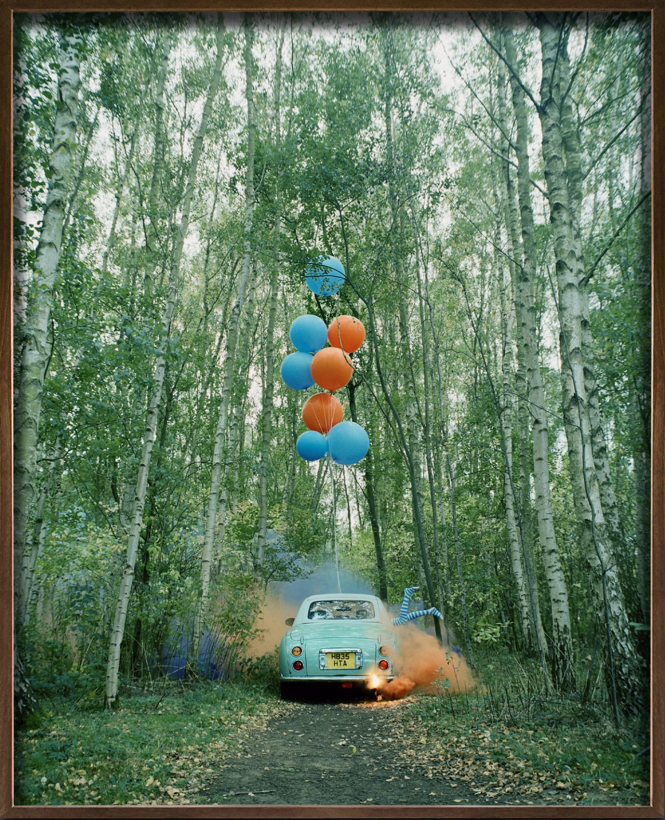 Vikram Kushwah, The Twins and The Green Car #1, 2015