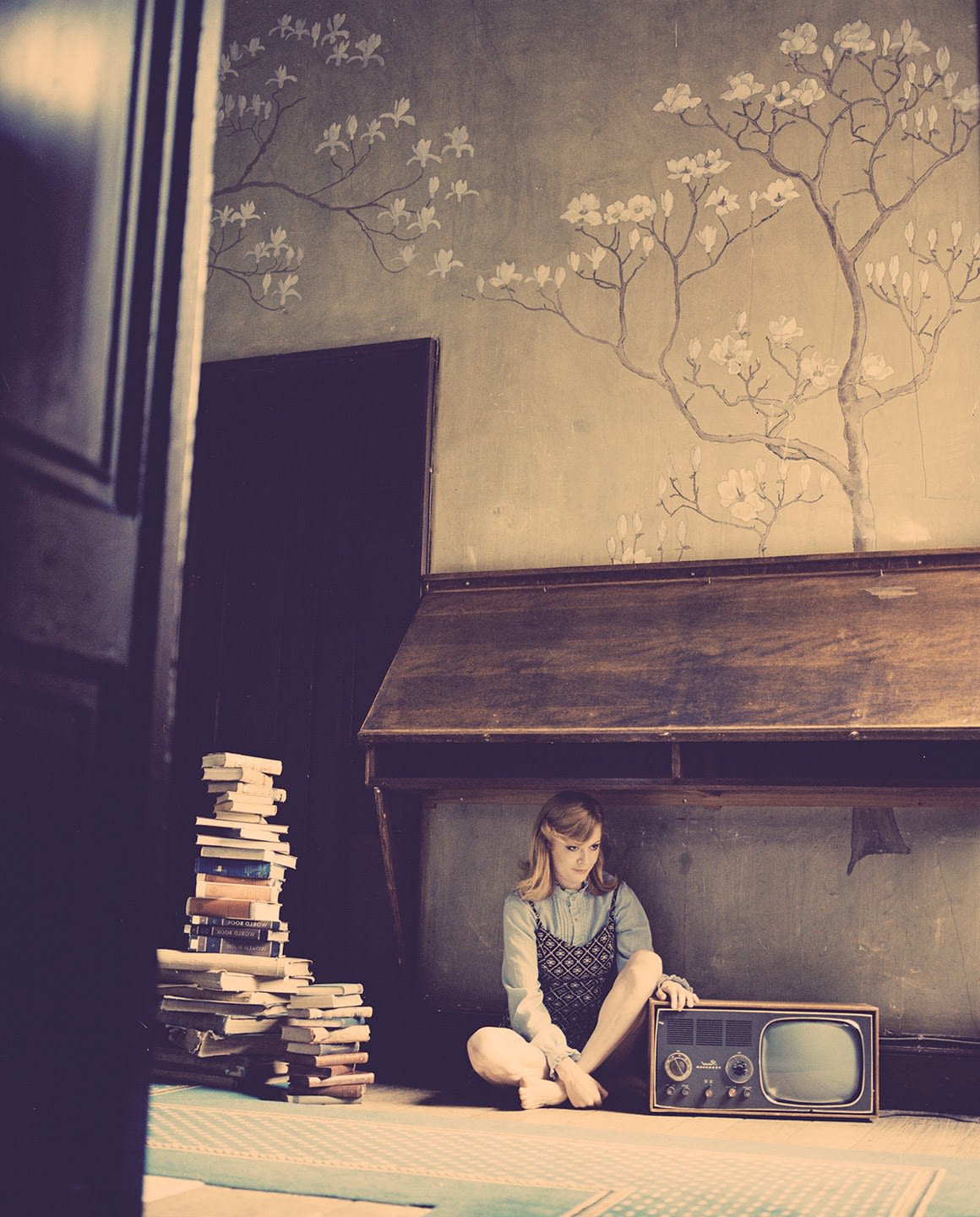 Vikram Kushwah, Emily and the Television, 2012