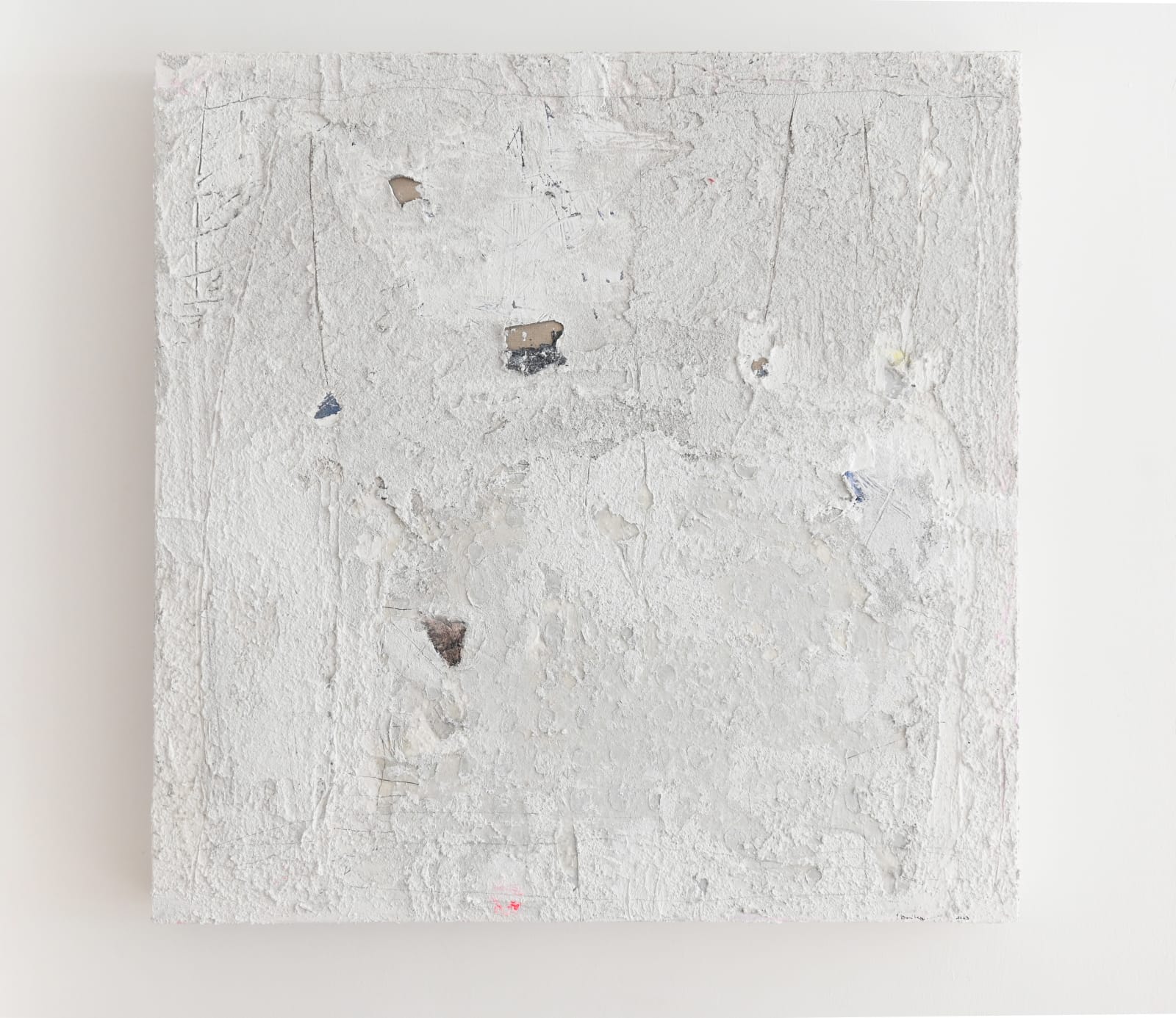 Joanna Bailey, Untitled, 2023