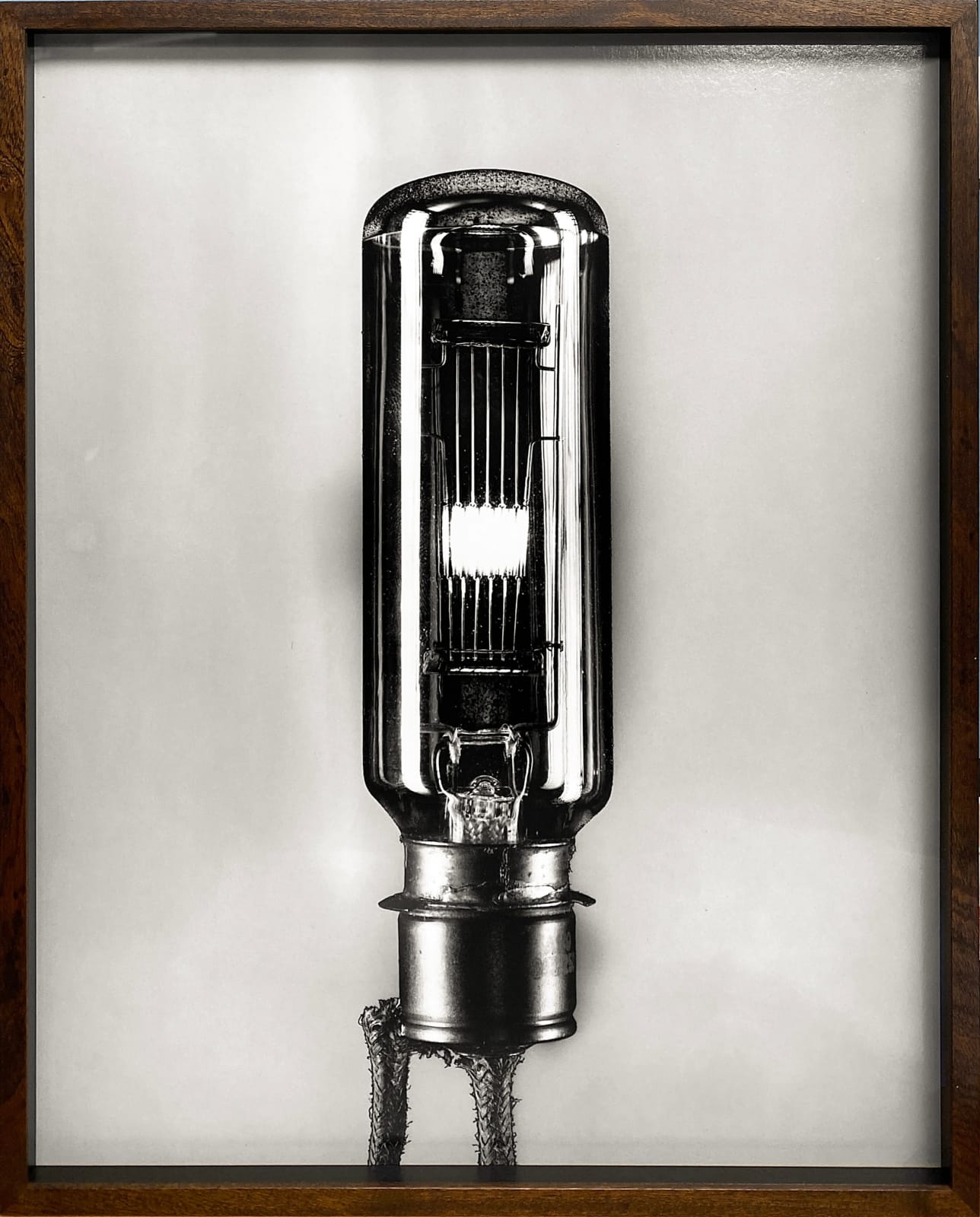 Sebastian Edge, Darklight #8, 2024