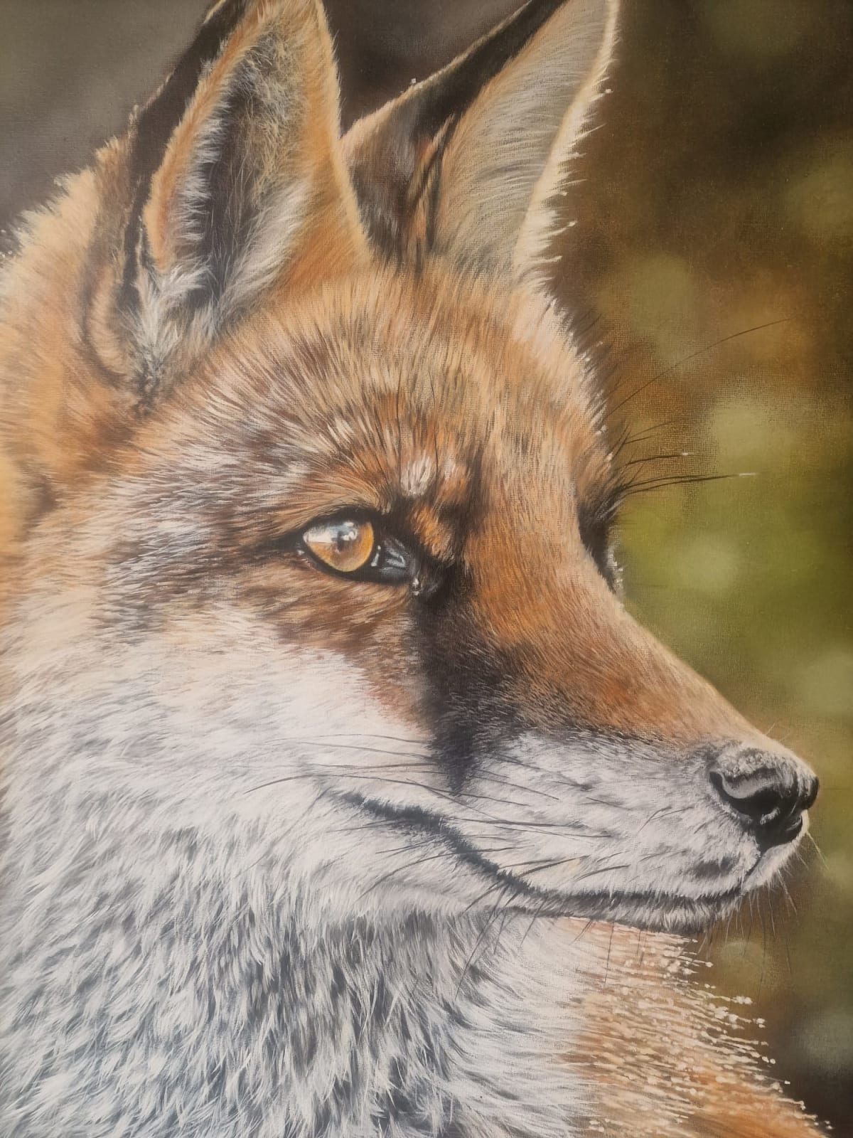 Gina-Marie Collins, Faireachan (Fox)