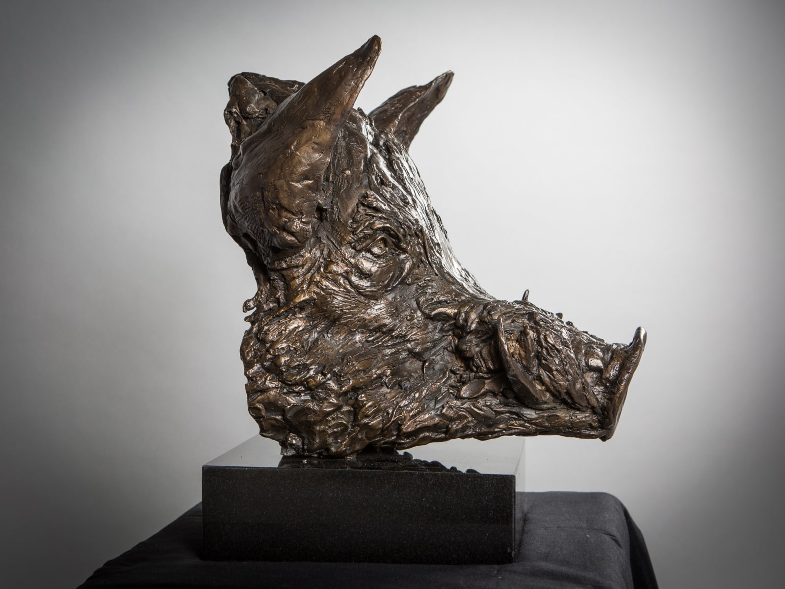 Johnny Cox, Wild Boar, 2019
